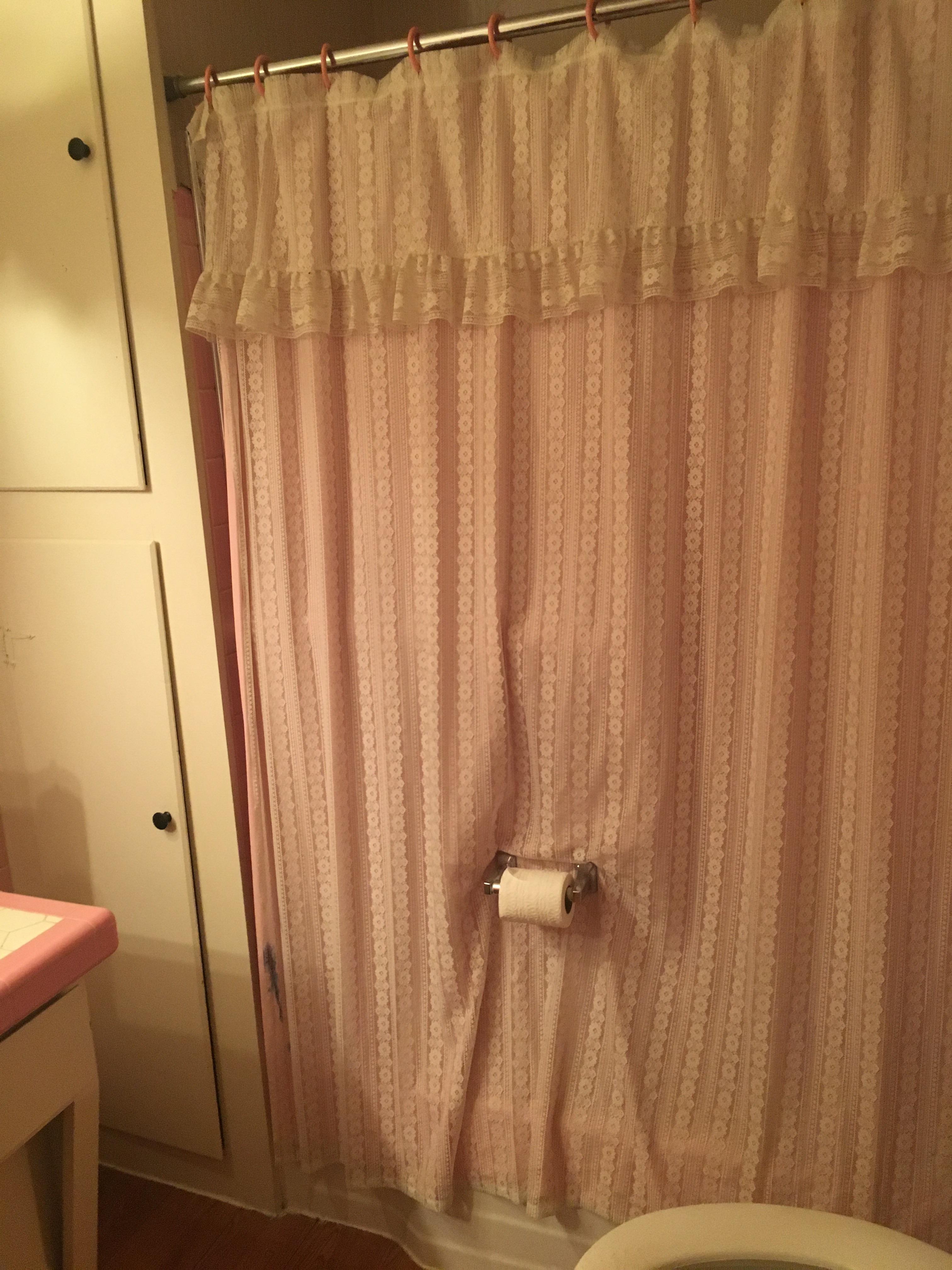 This toilet paper roll holder is mounted through a shower curtain to