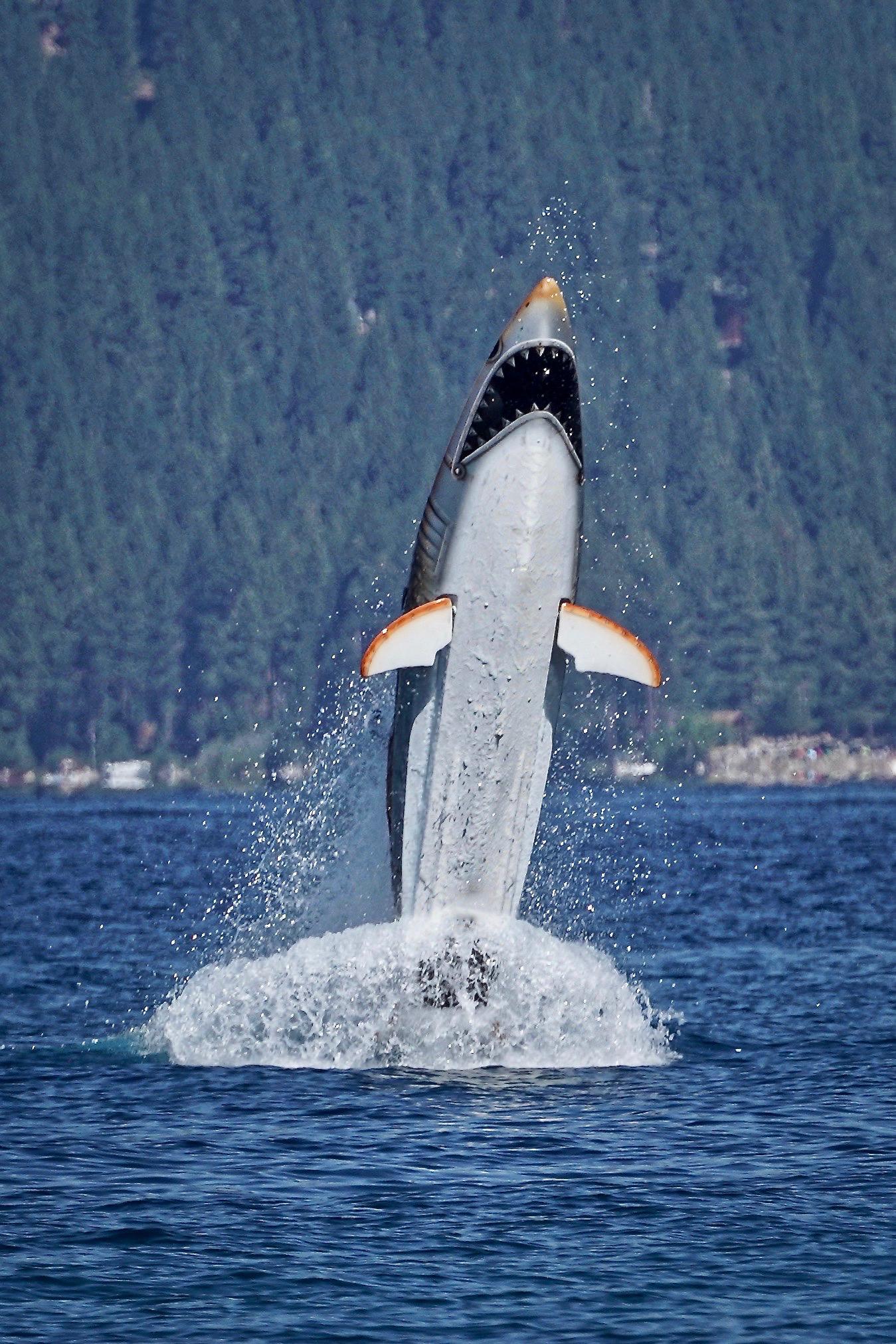 Seabreacher at Sand Harbor Beach near Incline Village Nevada. North