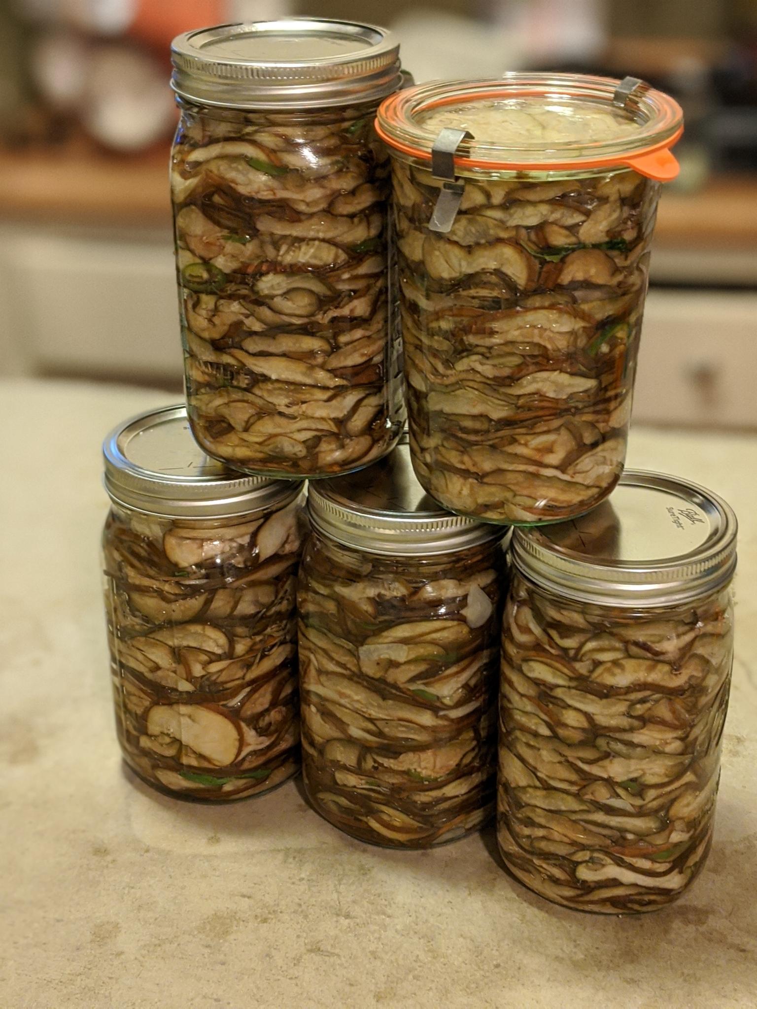 My Great Grandma's Recipe for Pickled Eggplant r/pickling
