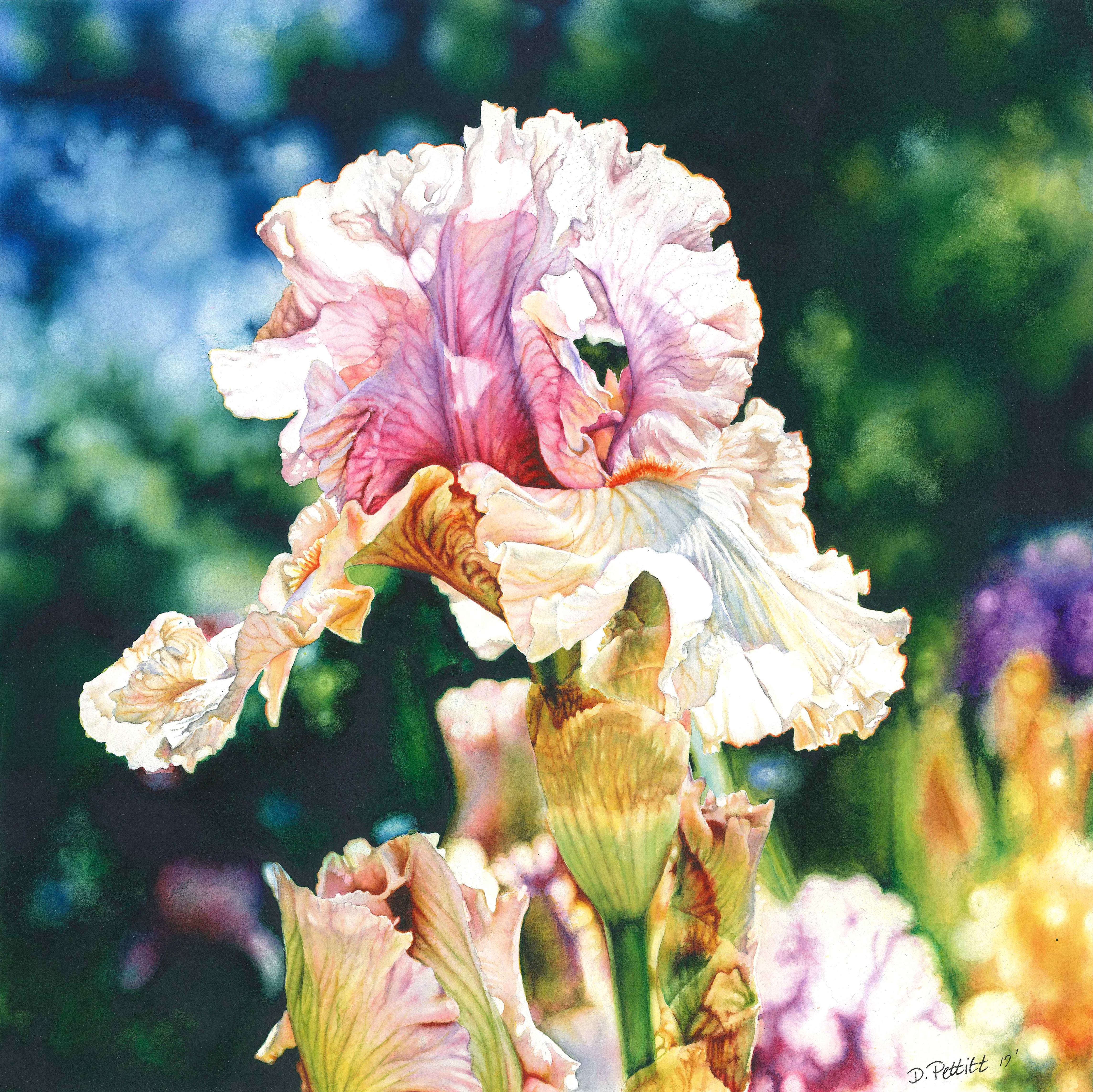 Springtime In Bloom Transparent Watercolor More of my blurry background