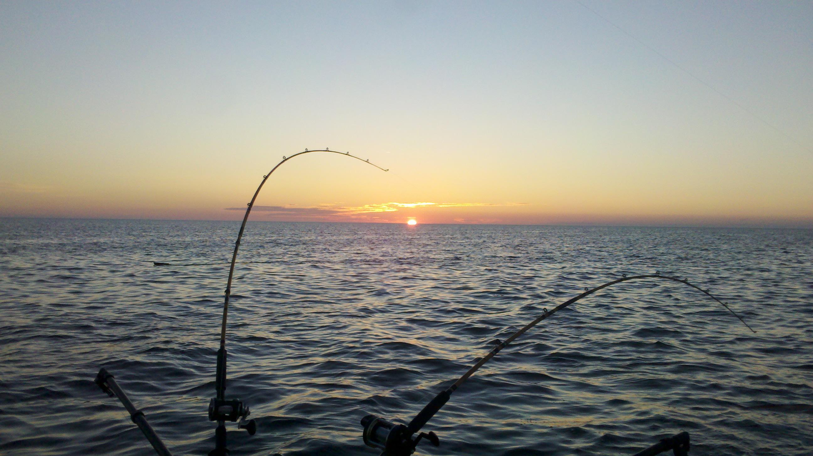 Salmon Fishing Off Rogers City, MI r/Michigan