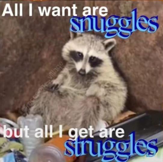 Snuggles not struggles r/trashpandas
