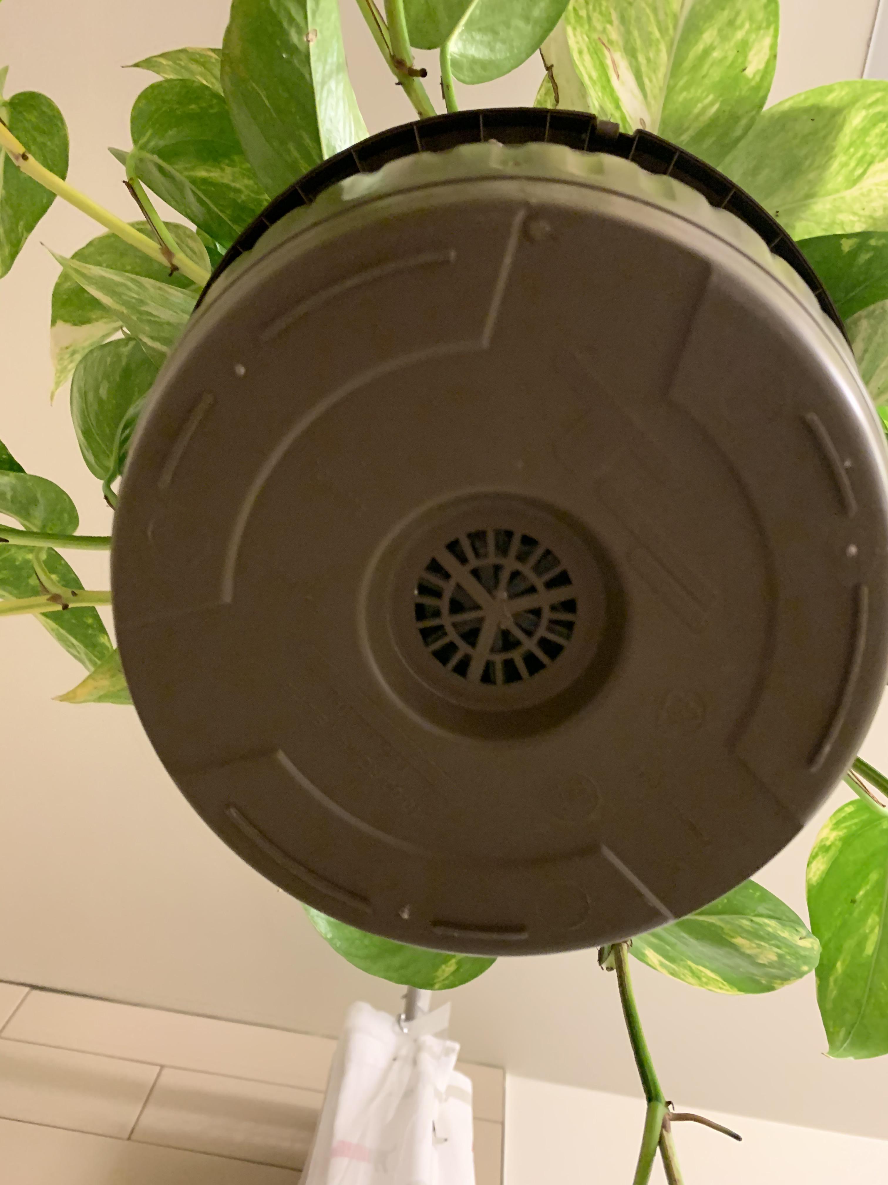 Are these drainage holes in the centre? I don’t want to overwater and