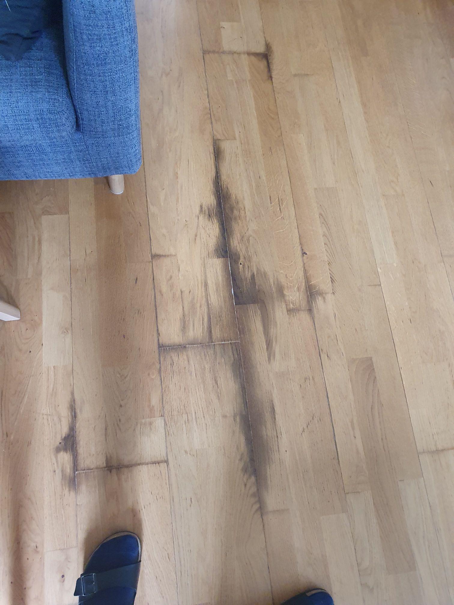 Damaged wooden floor from previous tenant r/fixit