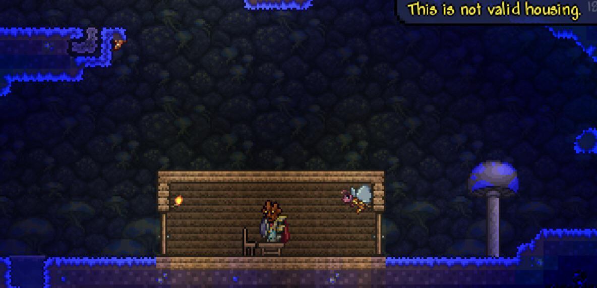 can npcs live in the glowing mushroom biome?? If they can then what the