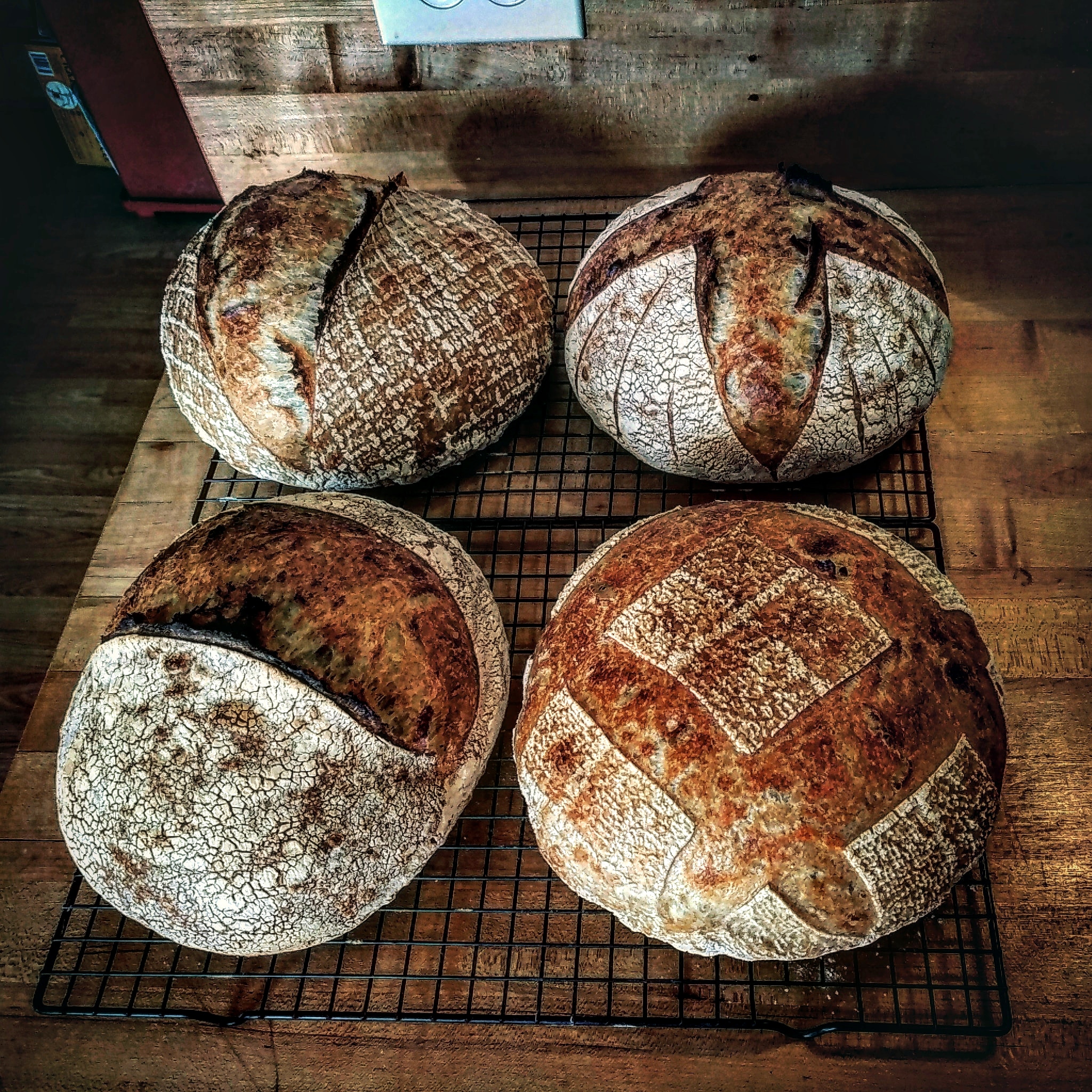 Very happy with these four. Just about 70 hydration. 80 white bread