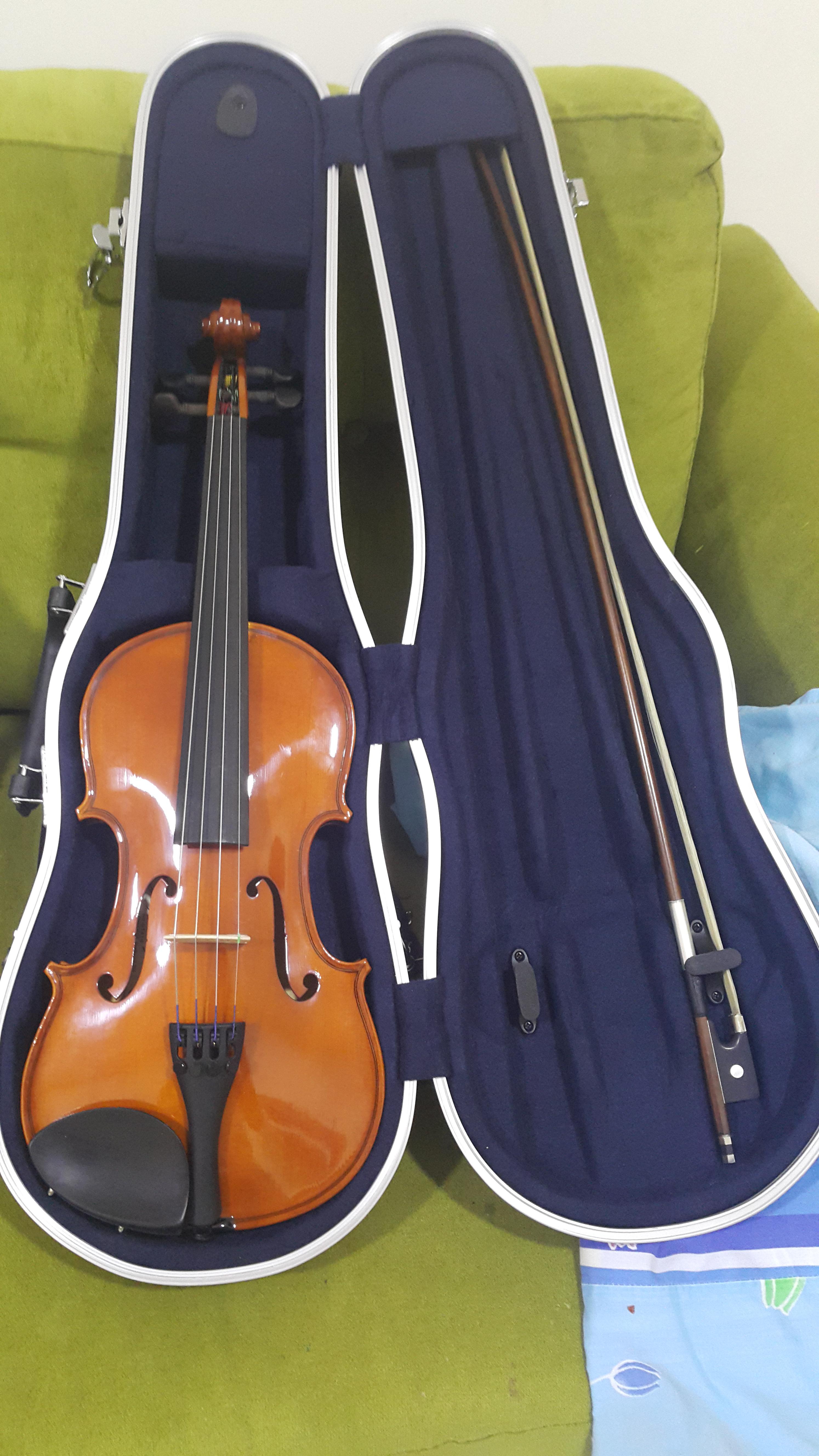 Just bought my first Violin yesterday...and out of curiosity, are the