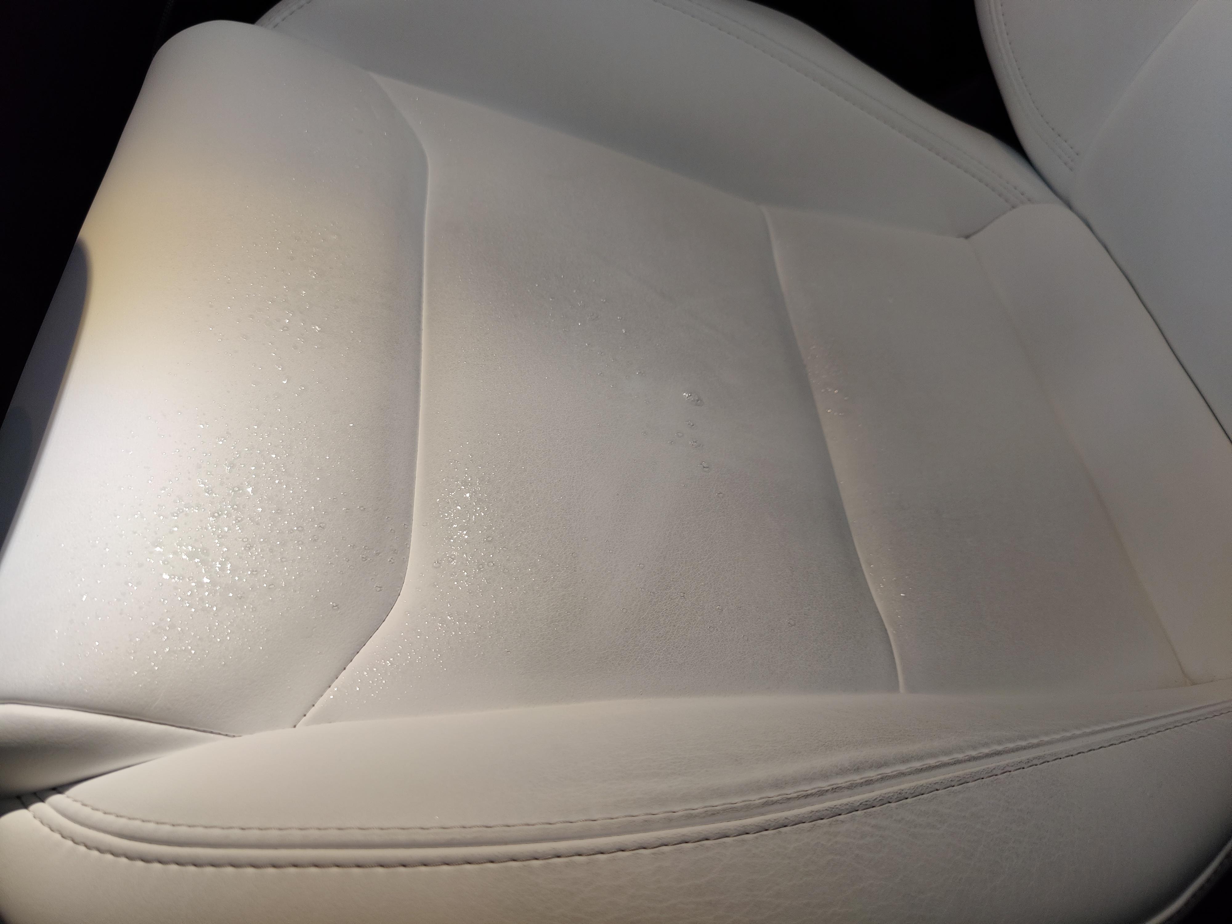 How To Clean And Seal The White Tesla Seats