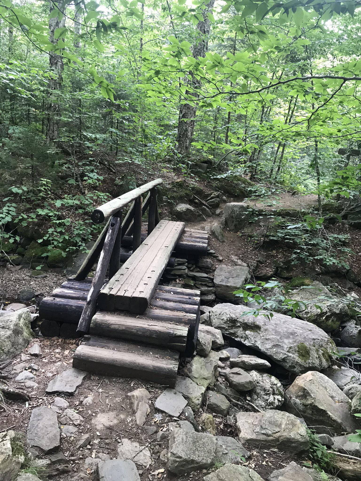 A cute bridge (who carries in this wood??) Bromley Mountain Long