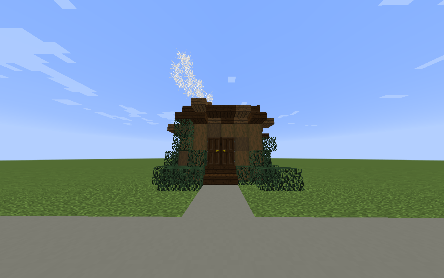 Small 8x8 Spruce and Dark Oak Wood house (anything you could suggest