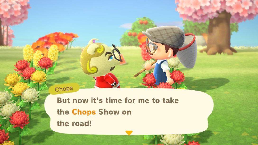 Chops left after 4 days...I’m happy but it still a bit insulting