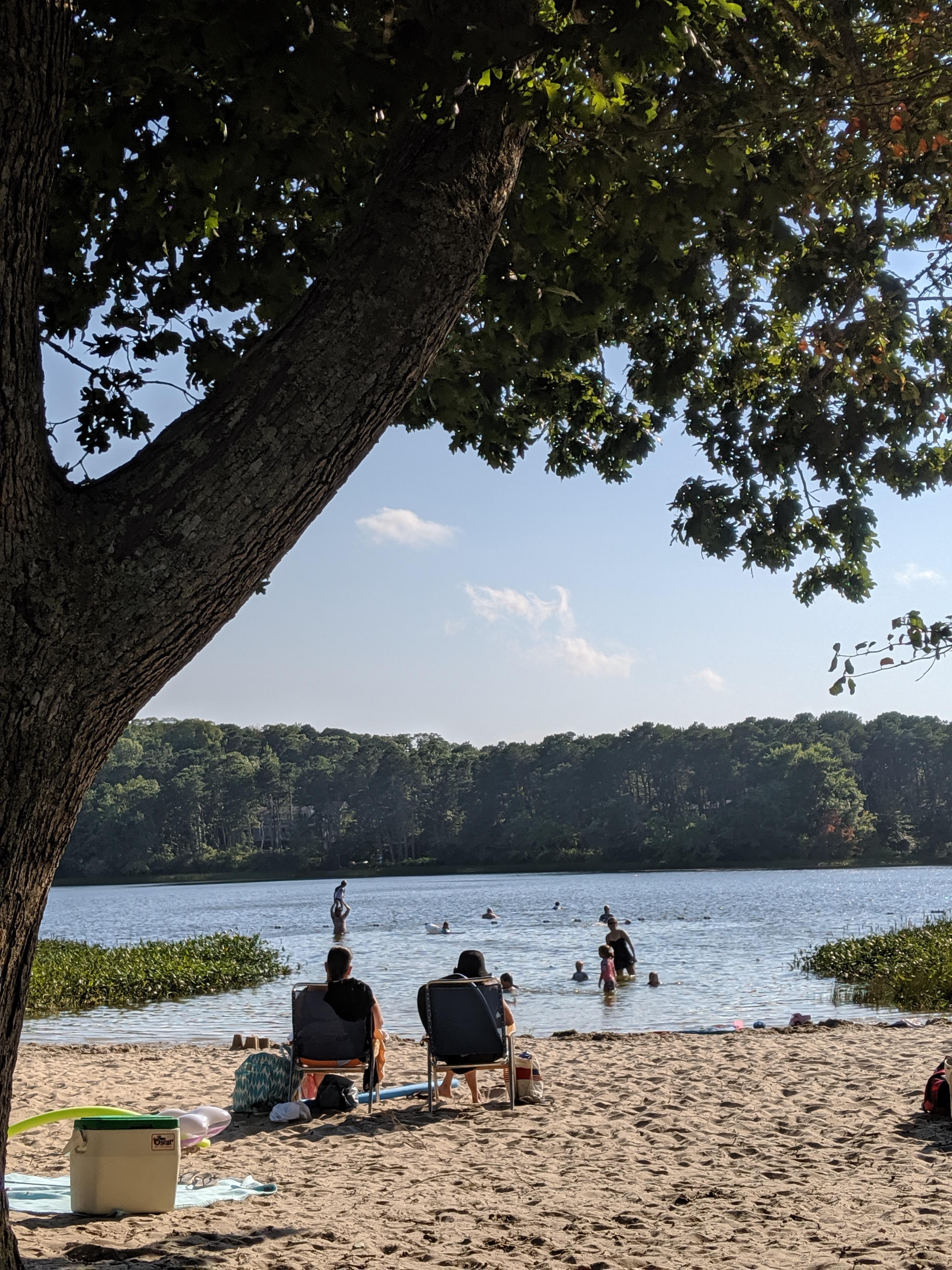 Pilgrim Lake. A great spot for families with younger children. r