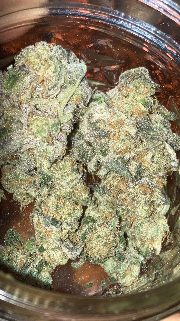 A beautiful representation of animal cookies (GSC x Fire OG) by Not