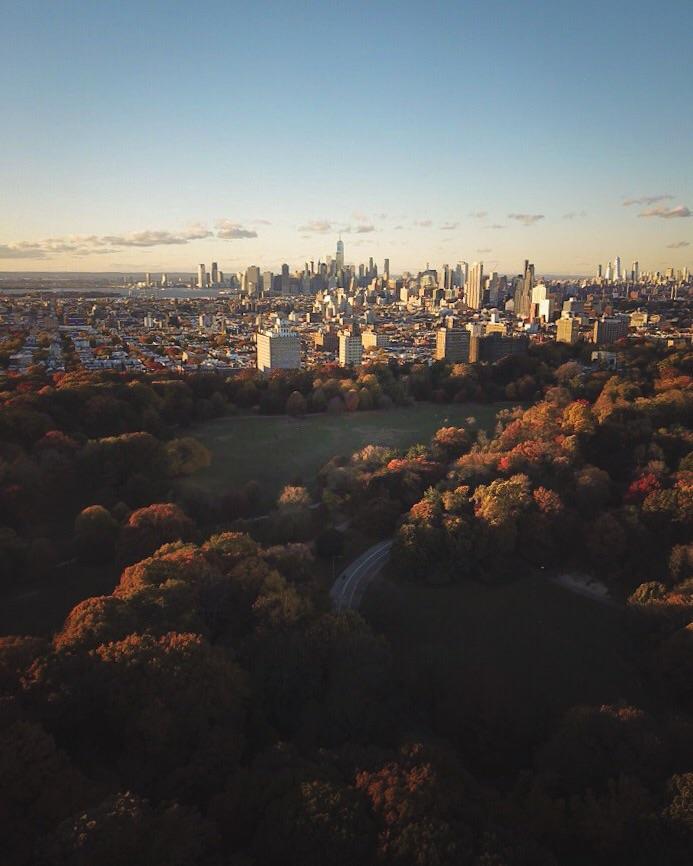 View of Manhattan from Brooklyn’s Prospect Park r/nyc