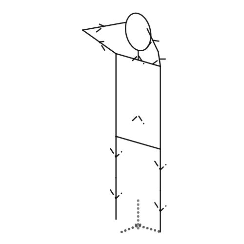 head, shoulders, knees and toes. (knees and toes) r/desmos