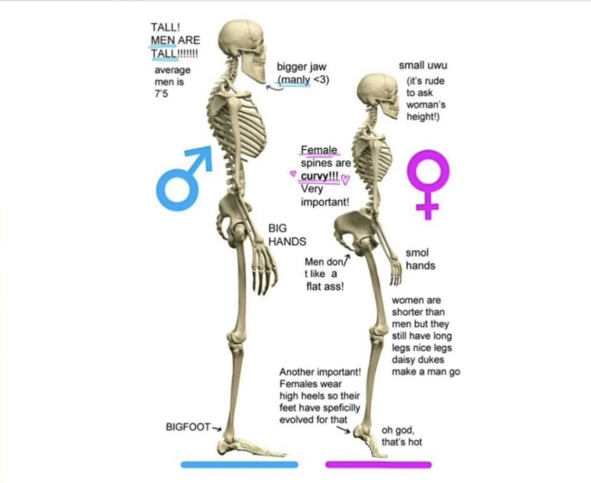 Dysphoria in a nutshell r/traaaaaaannnnnnnnnns