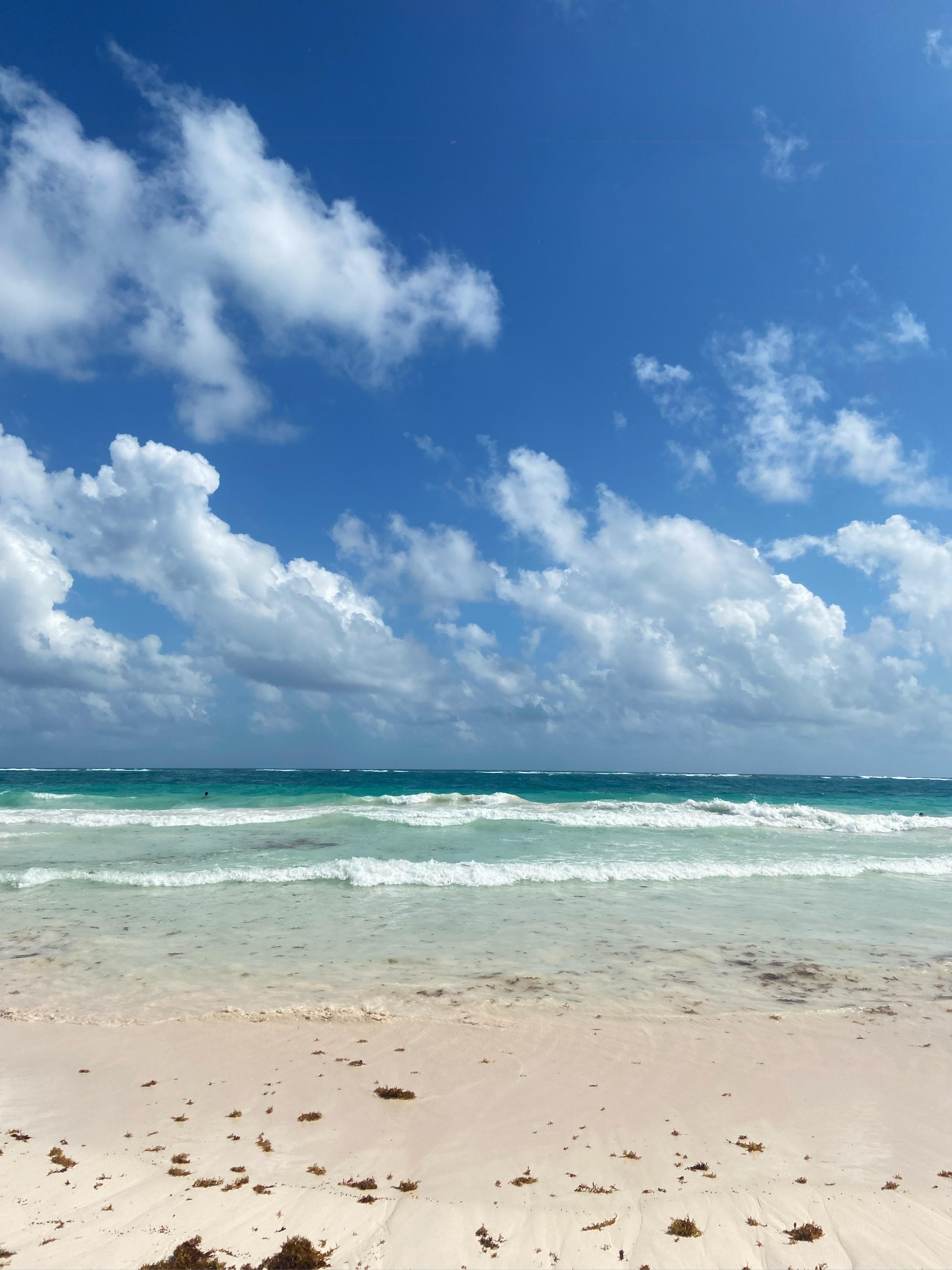 JassyJ08 (u/jassyjasss) - Reddit