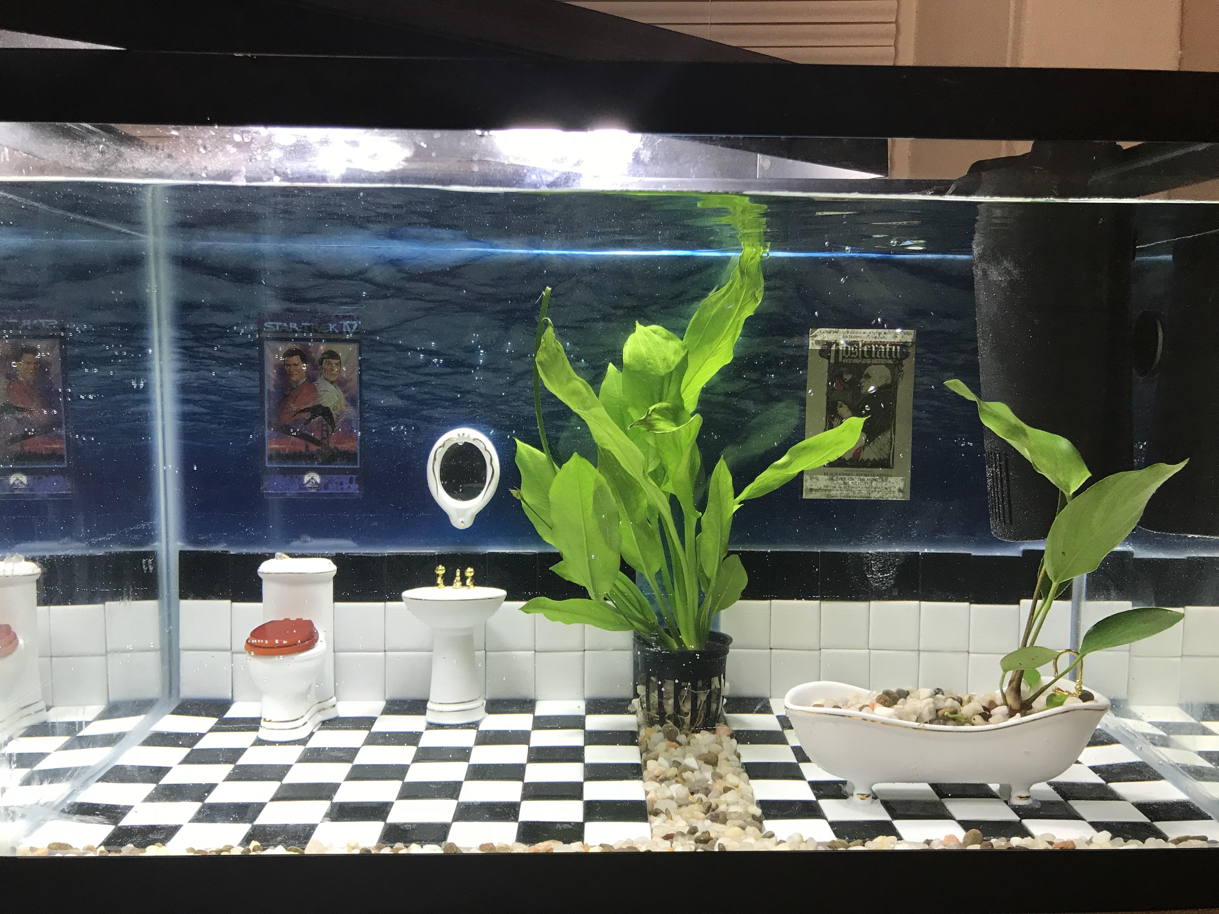 Bathroom aquarium finished! r/Aquariums