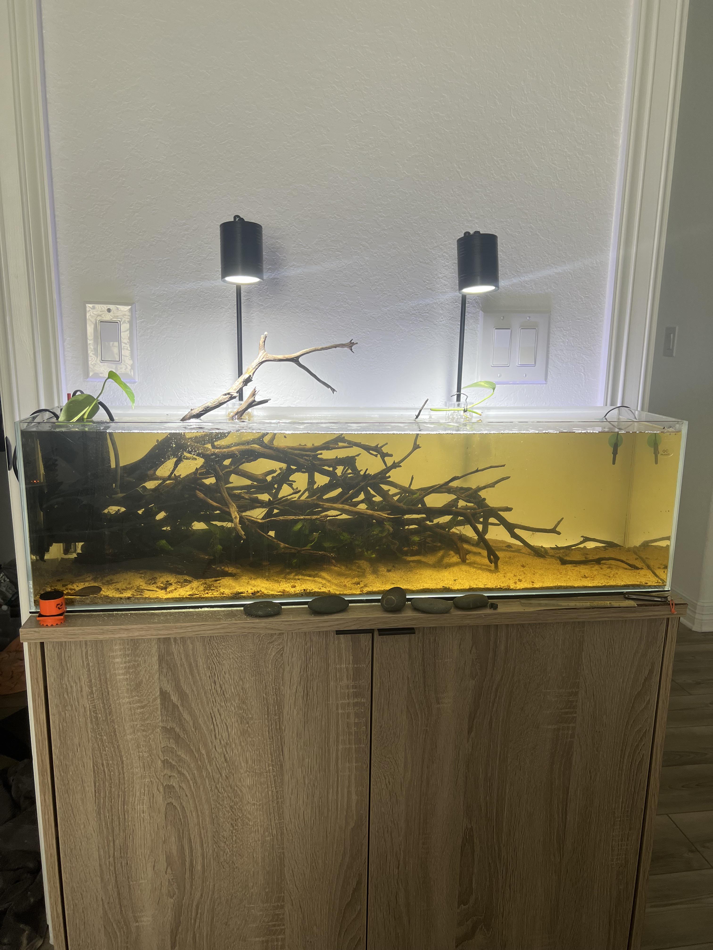 [FS] 12 gallon long bookshelf aquarium & stand 250 r/AquaSwapTX
