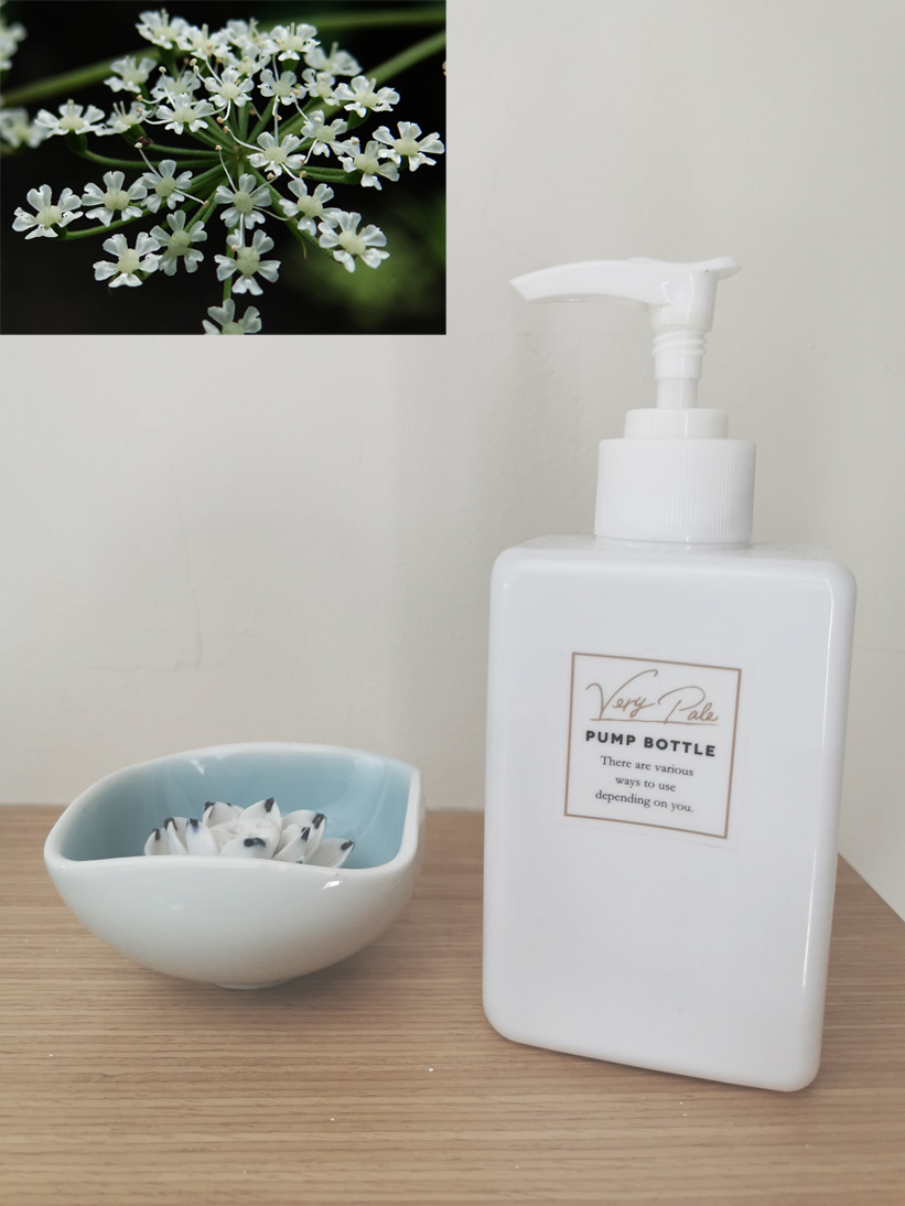 Angelica Sinensis, commonly known as Dong Quai, it can improve wrinkles