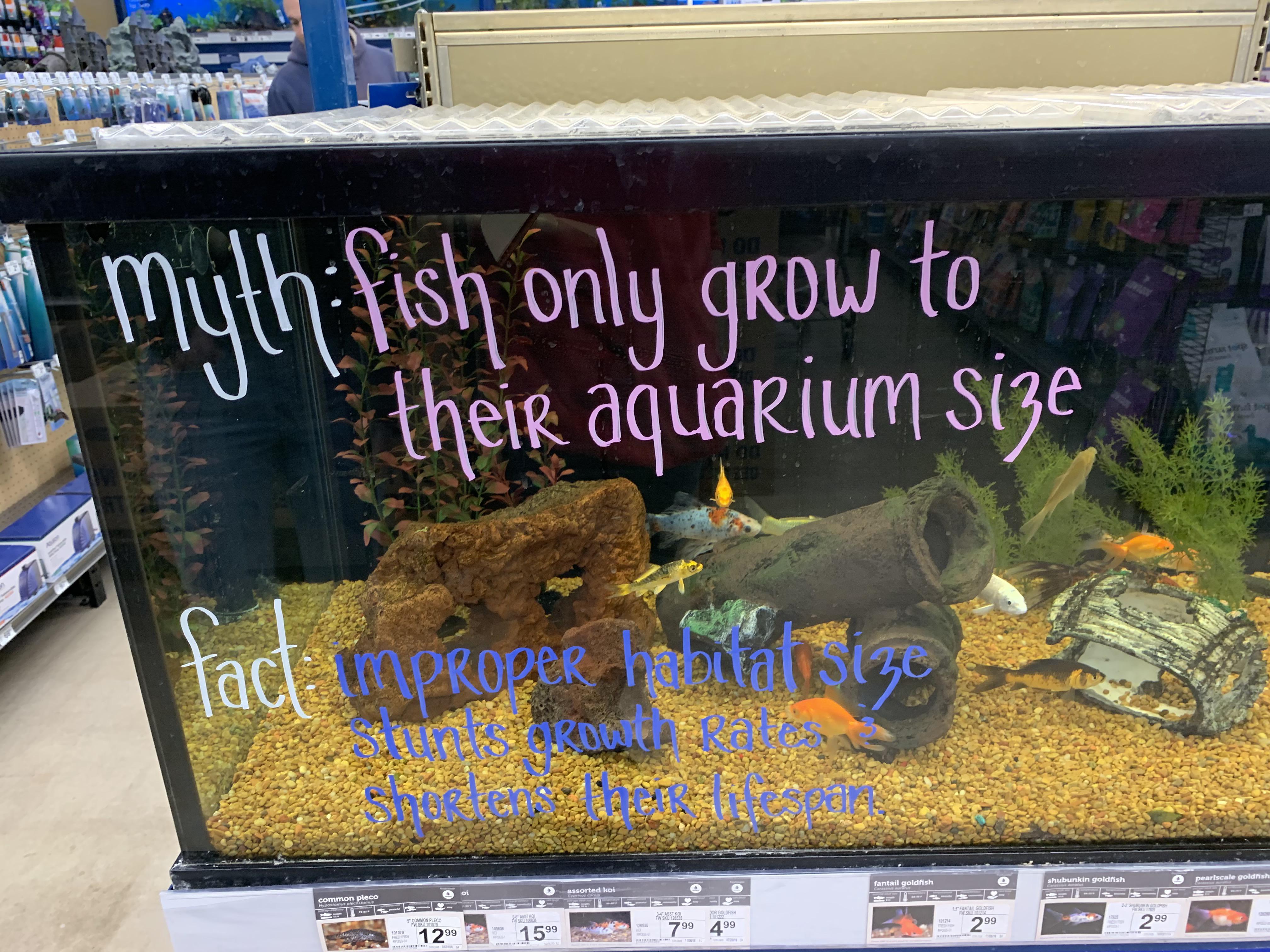 It was refreshing to see this at one of my local Petco’s r/Aquariums