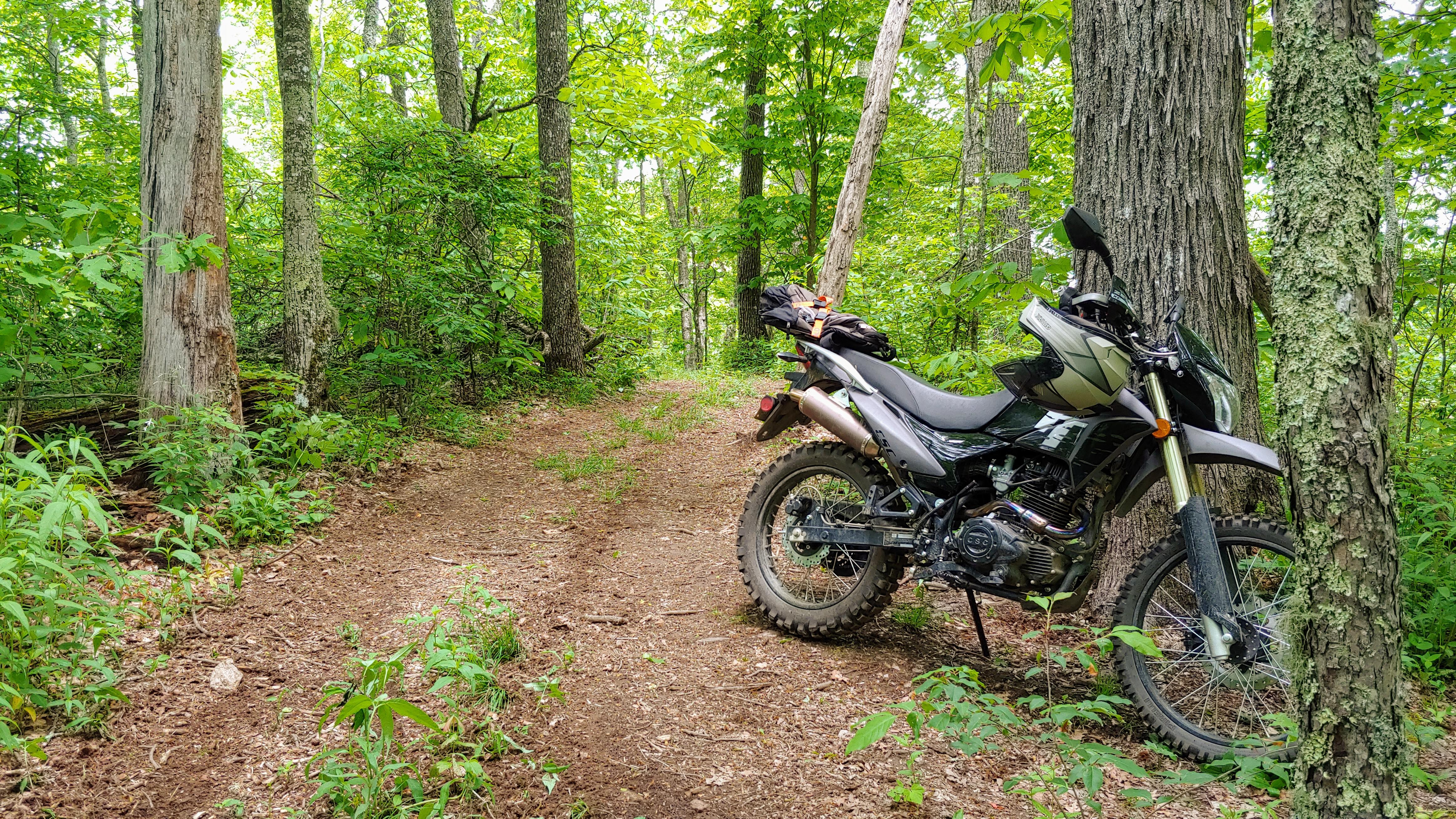 Just found 100+ miles of unadvertised, unmapped, double and single