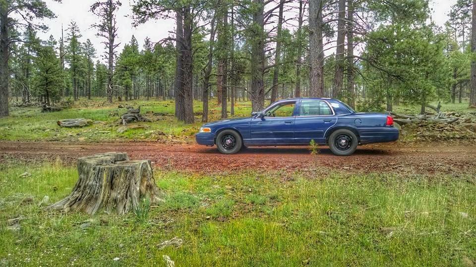 2008 Crown Victoria/Police Interceptor : r/RoastMyCar