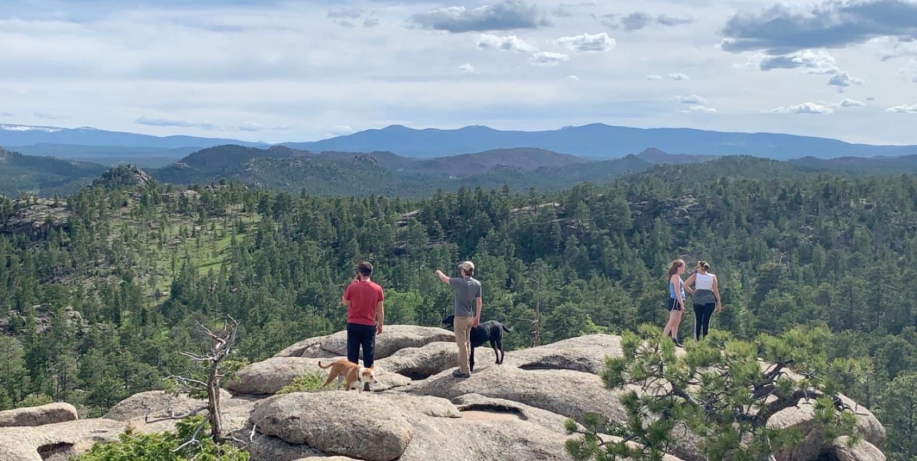 Stumbled onto this beautiful view. Red feather lakes, near Fort Collins
