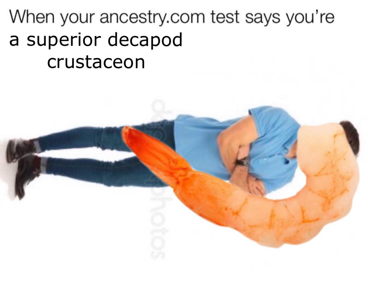 Guess I’m a shrimp r/shrimpmemes