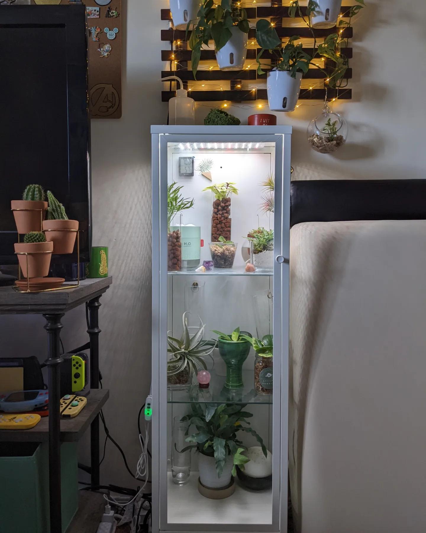 My mini Ikea greenhouse It's a Baggebo and it's perfect for my needs. 🌛🌿 r