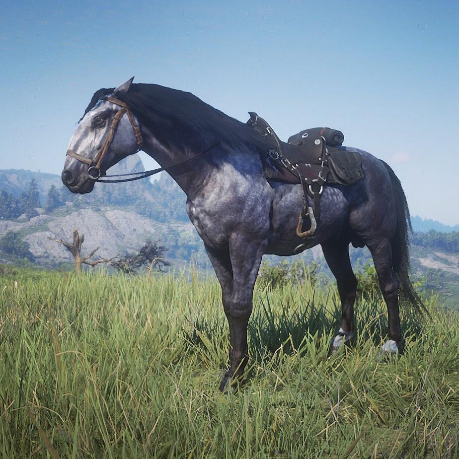 Finally! The horse I’ve wanted since the update is mine. Meet Paarthurnax ) reddeadfashion