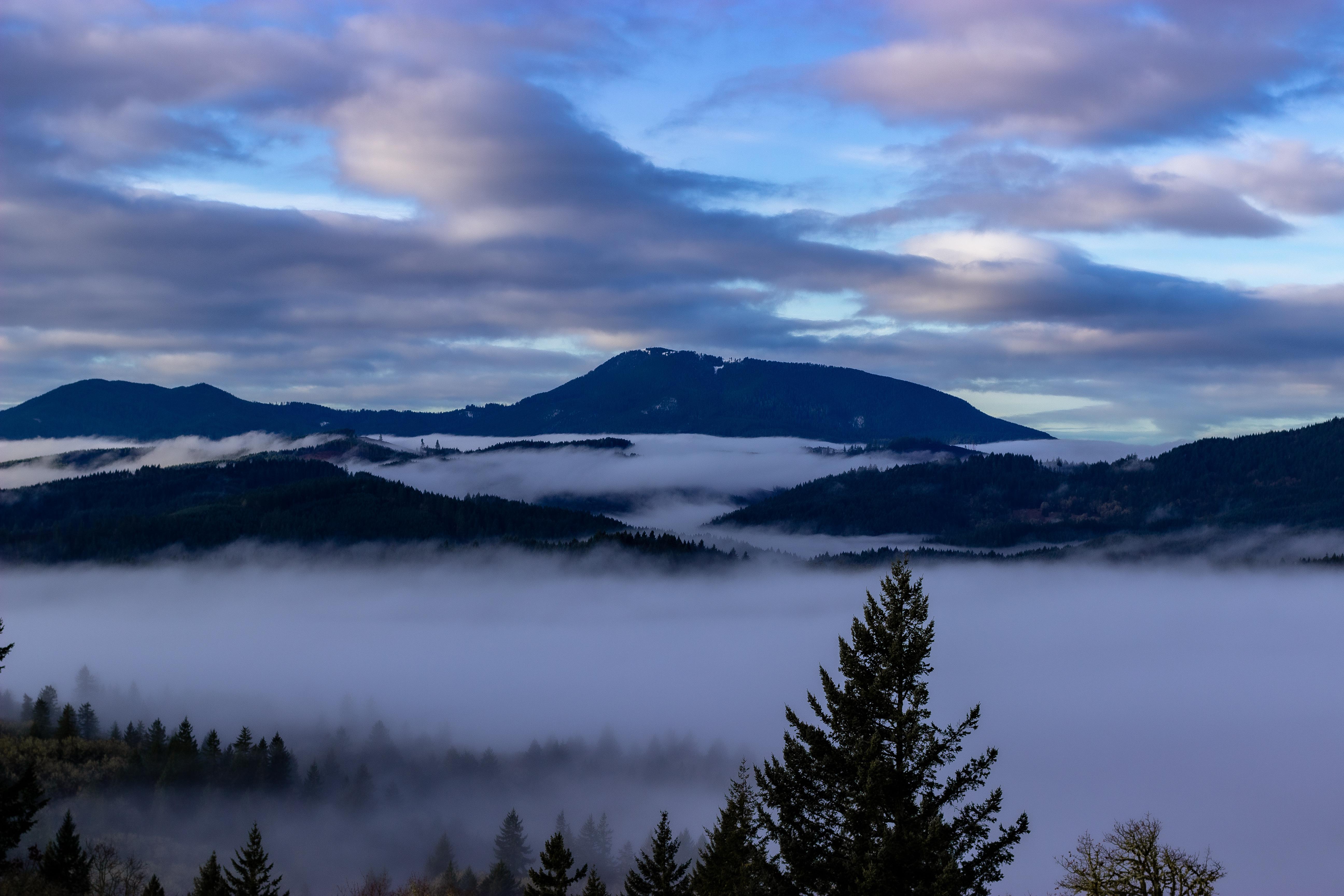 Pic of Mary’s Peak I got this morning ) r/oregon