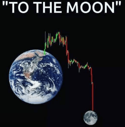 I was told we're going to the moon. r/wallstreetbets