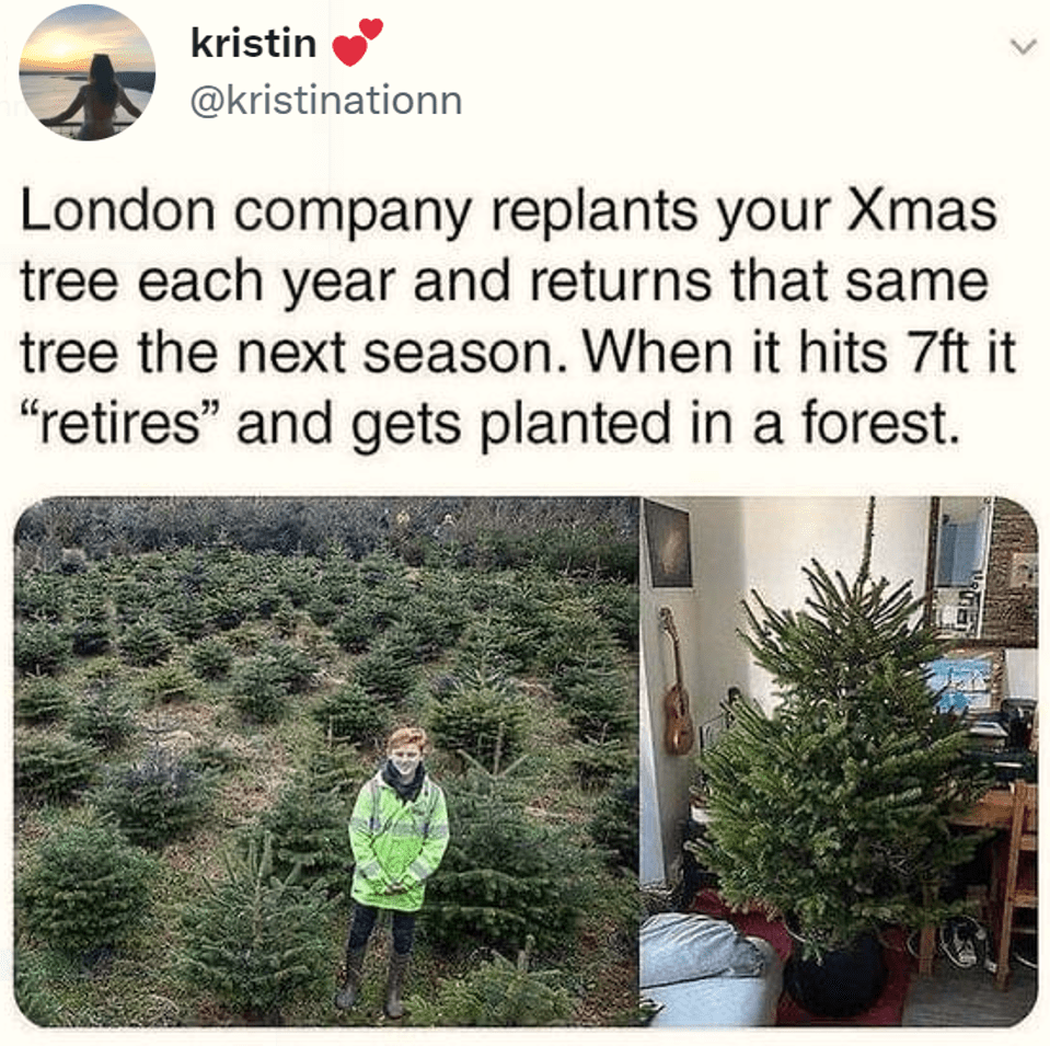 (OC) A perfect business model doesn't exi r/MadeMeSmile