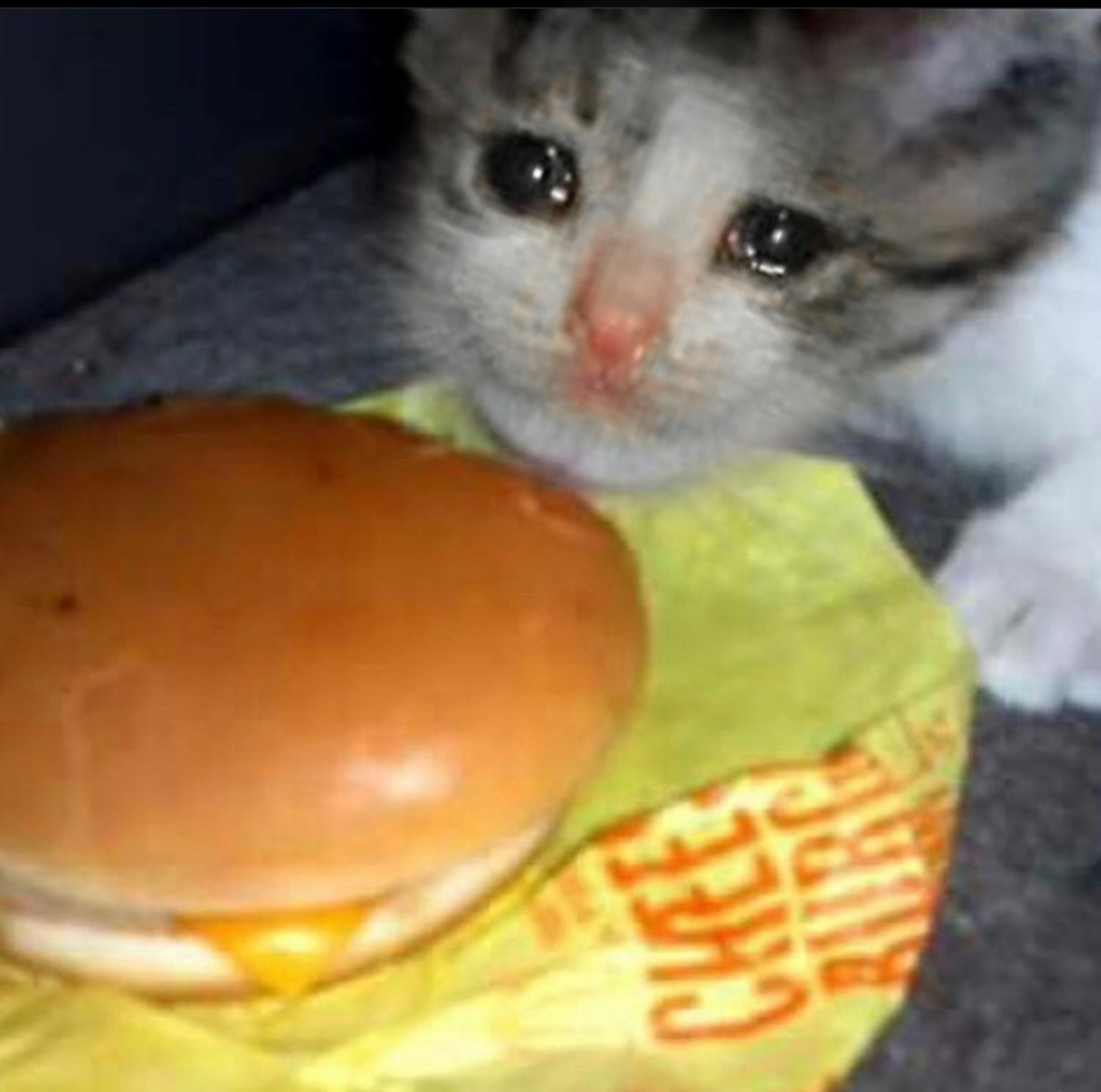 Sad Cat Would you like to give me the only cheeseburger? thank you r