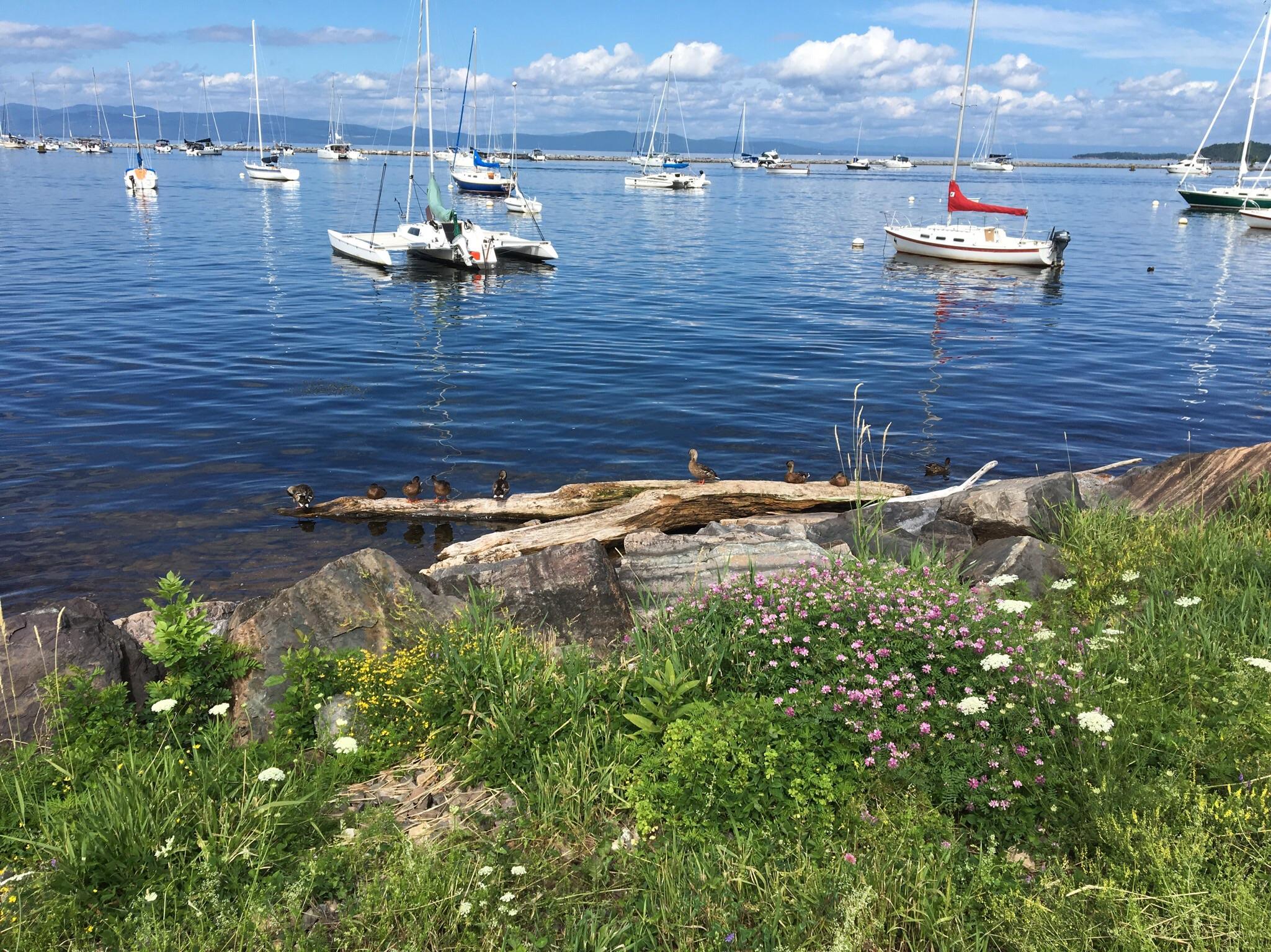 Lake Champlain in Burlington, VT. Last summer. r/burlington
