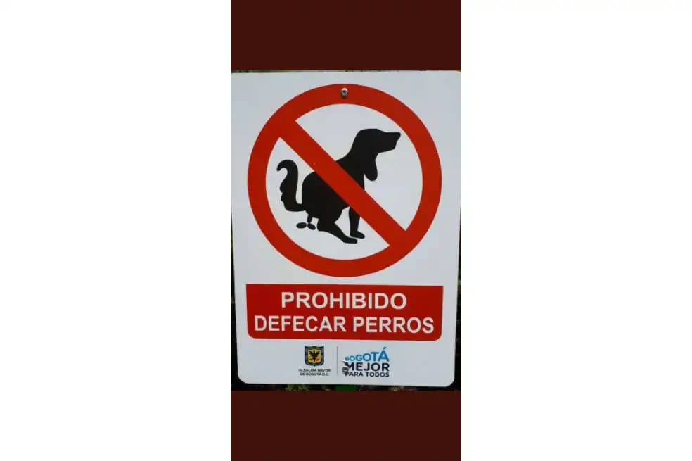 It literally says "Forbidden to defecate dogs". memes