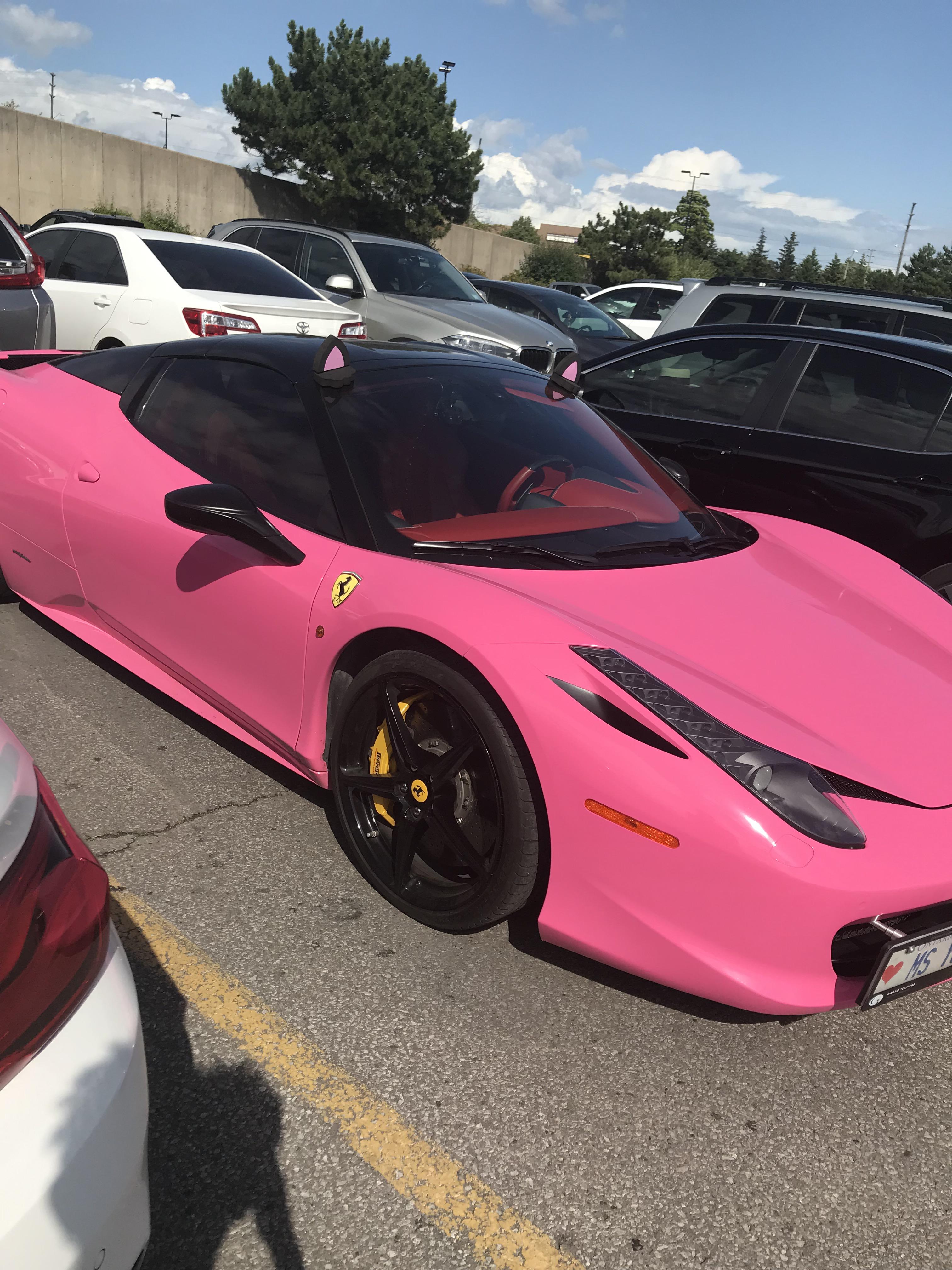 Hot Pink Ferrari with cat ears r/Shitty_Car_Mods