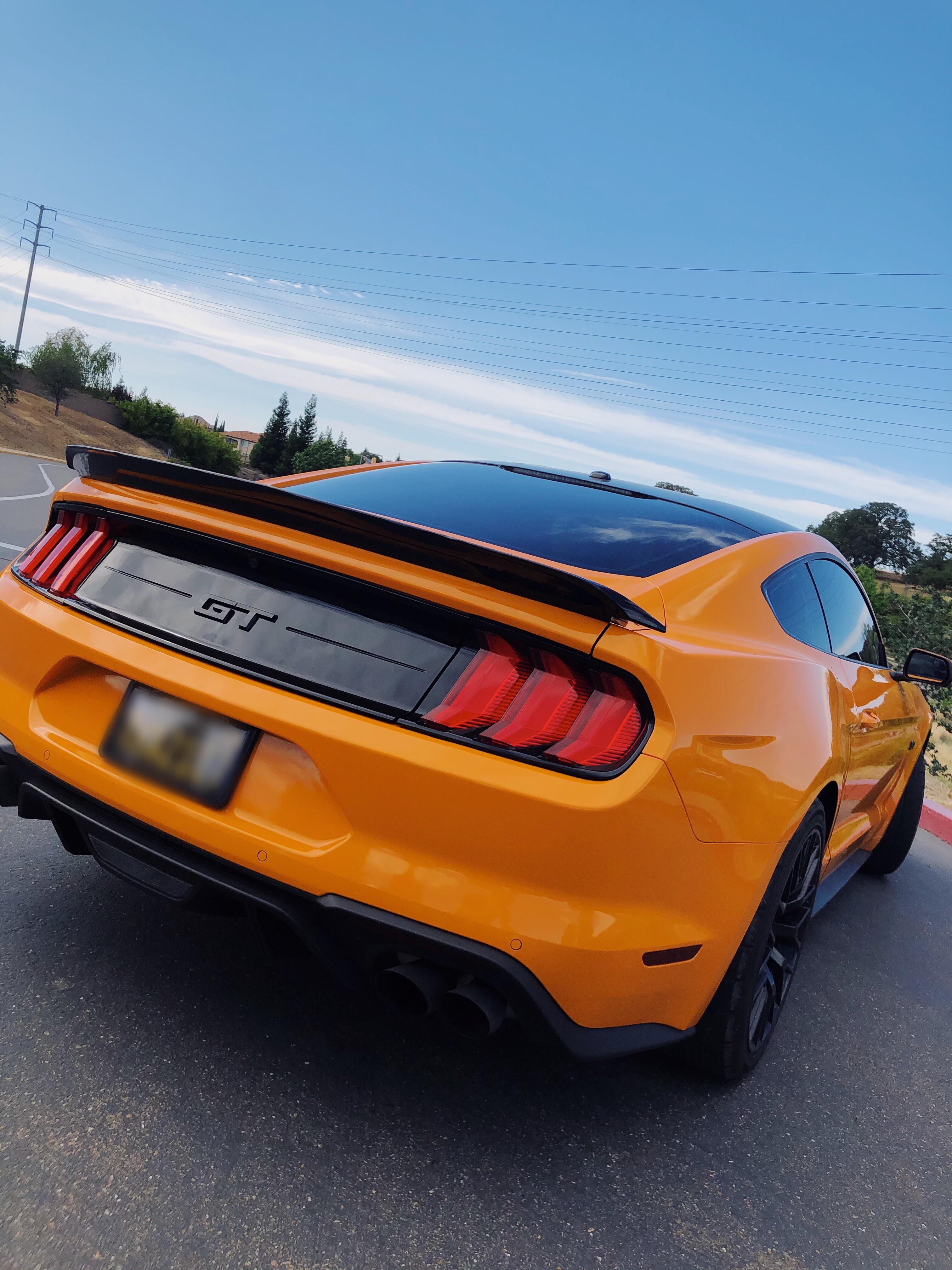 Thoughts on smoked tail lights in California? r/Mustang