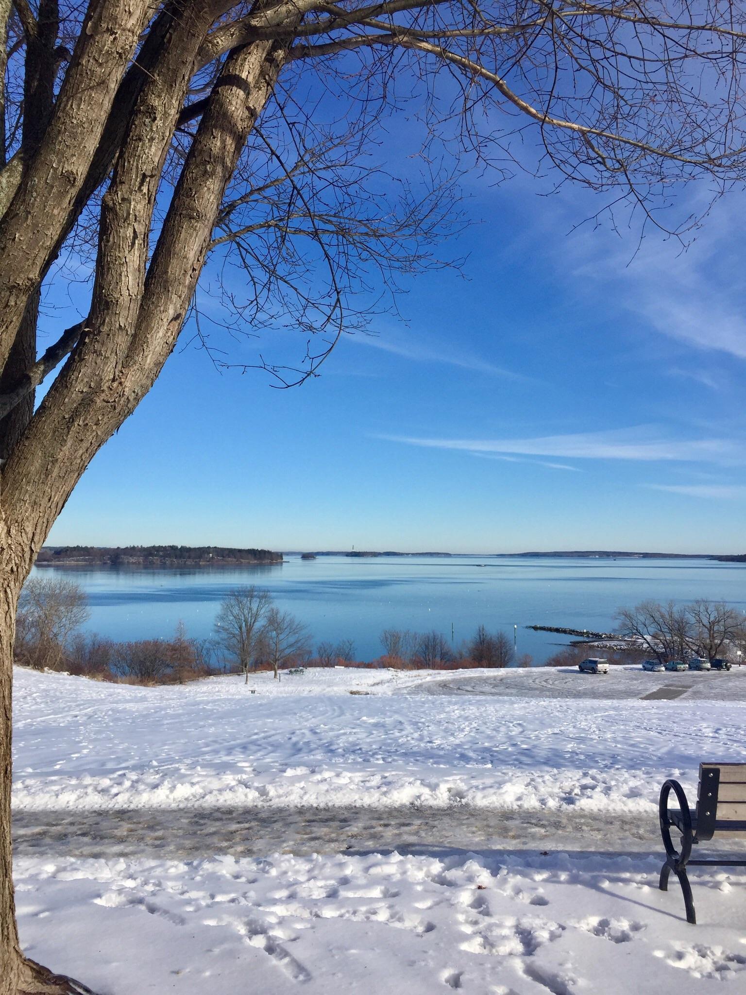Beautiful winter day in Portland. r/Maine