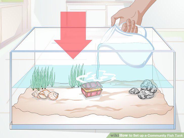 Part 1, what’s your secret to adding water after water changes without