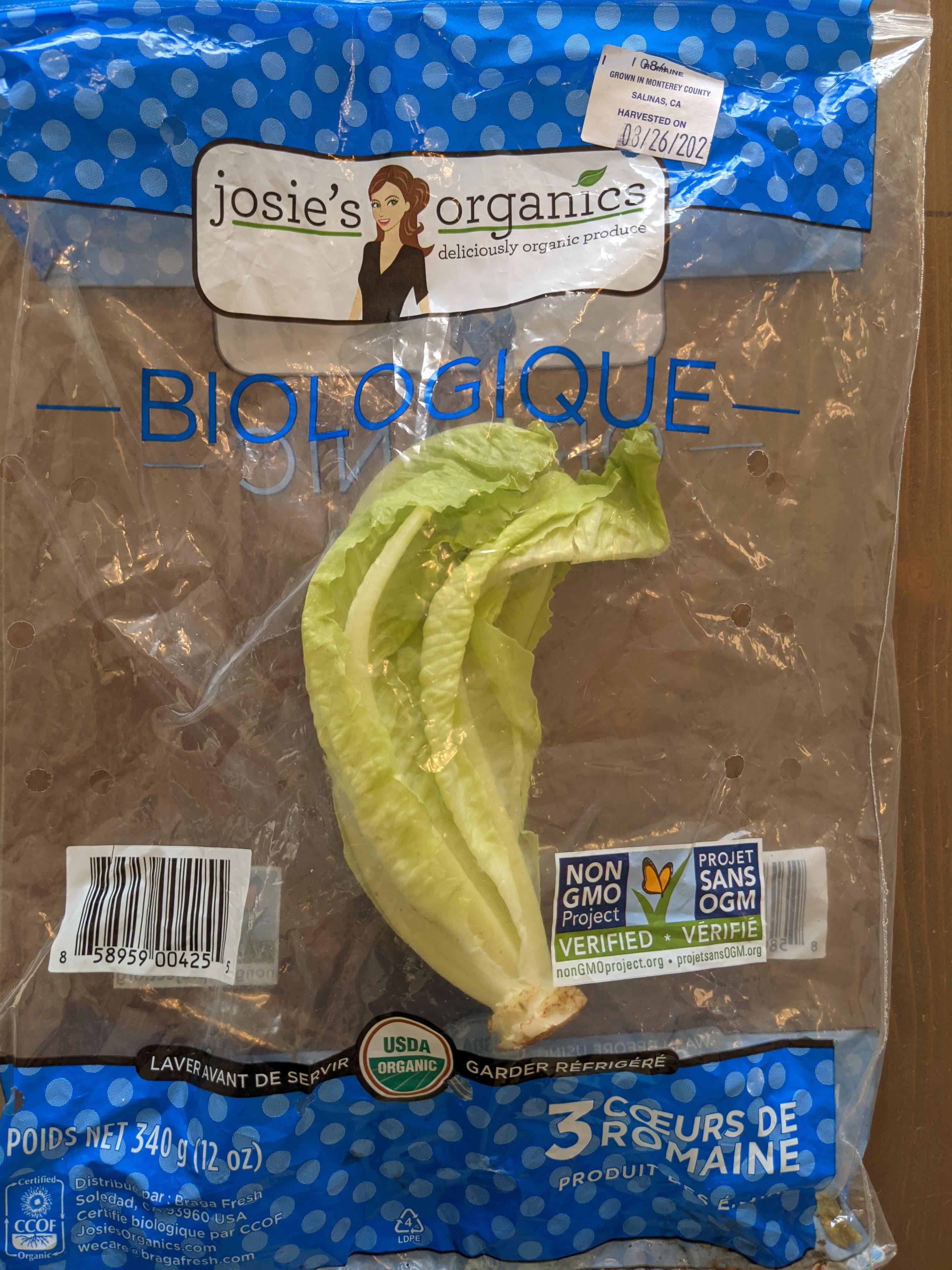 This lettuce harvested in March is still good today r/mildlyinteresting