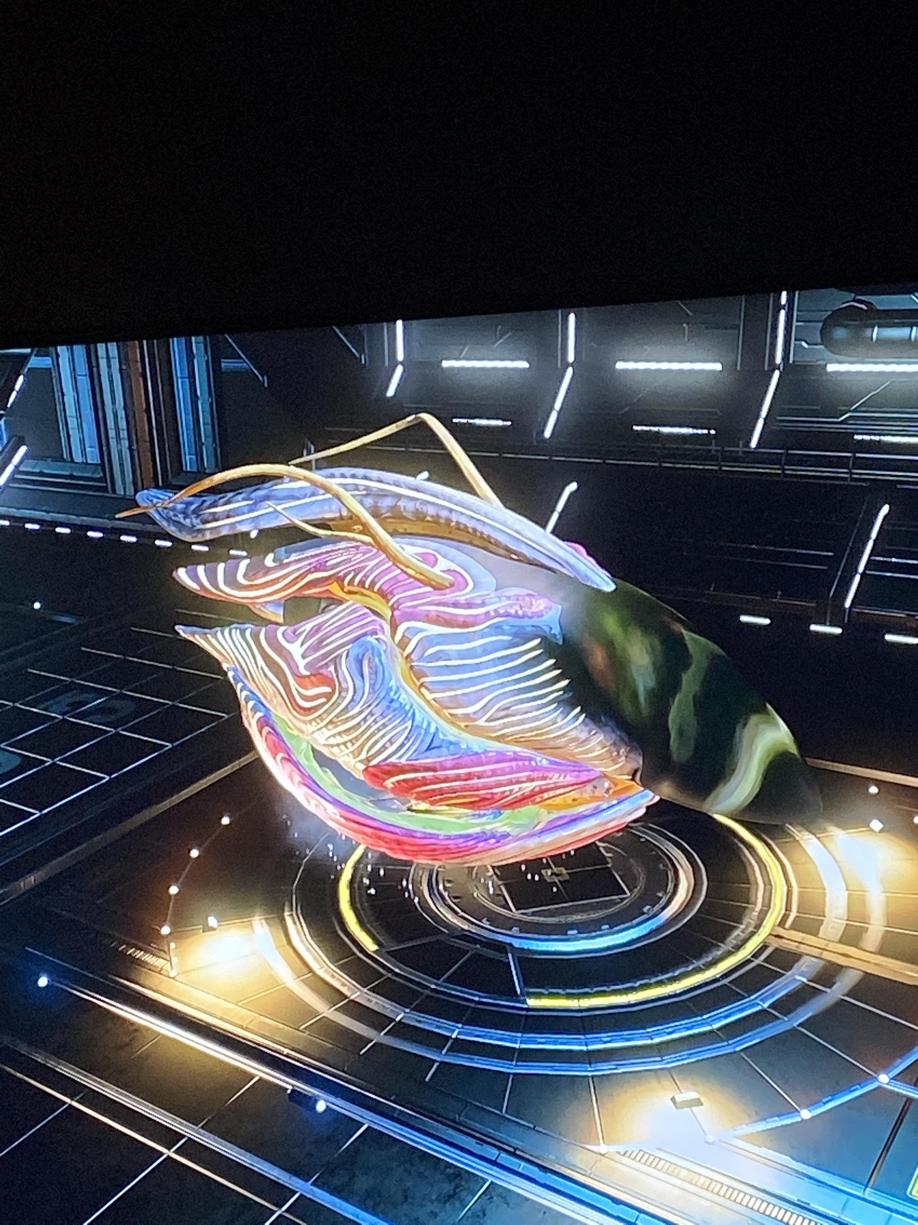 795 best Living Ship images on Pholder No Mans Sky The Game, NMS