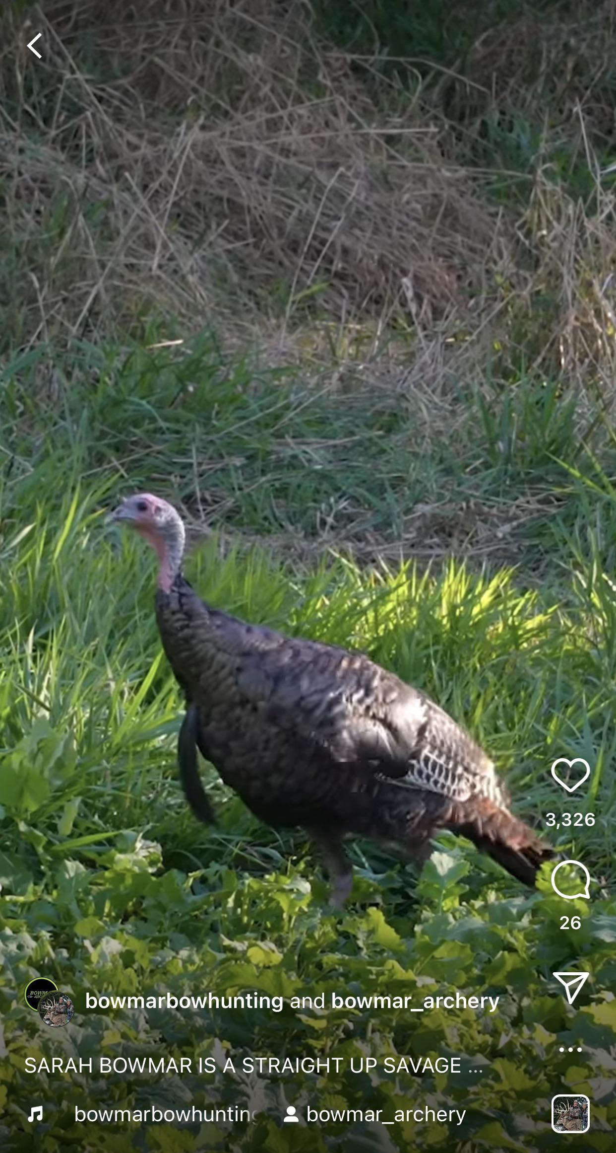 Reported for animal abuse. Sarah shared this from the bowmar hunting