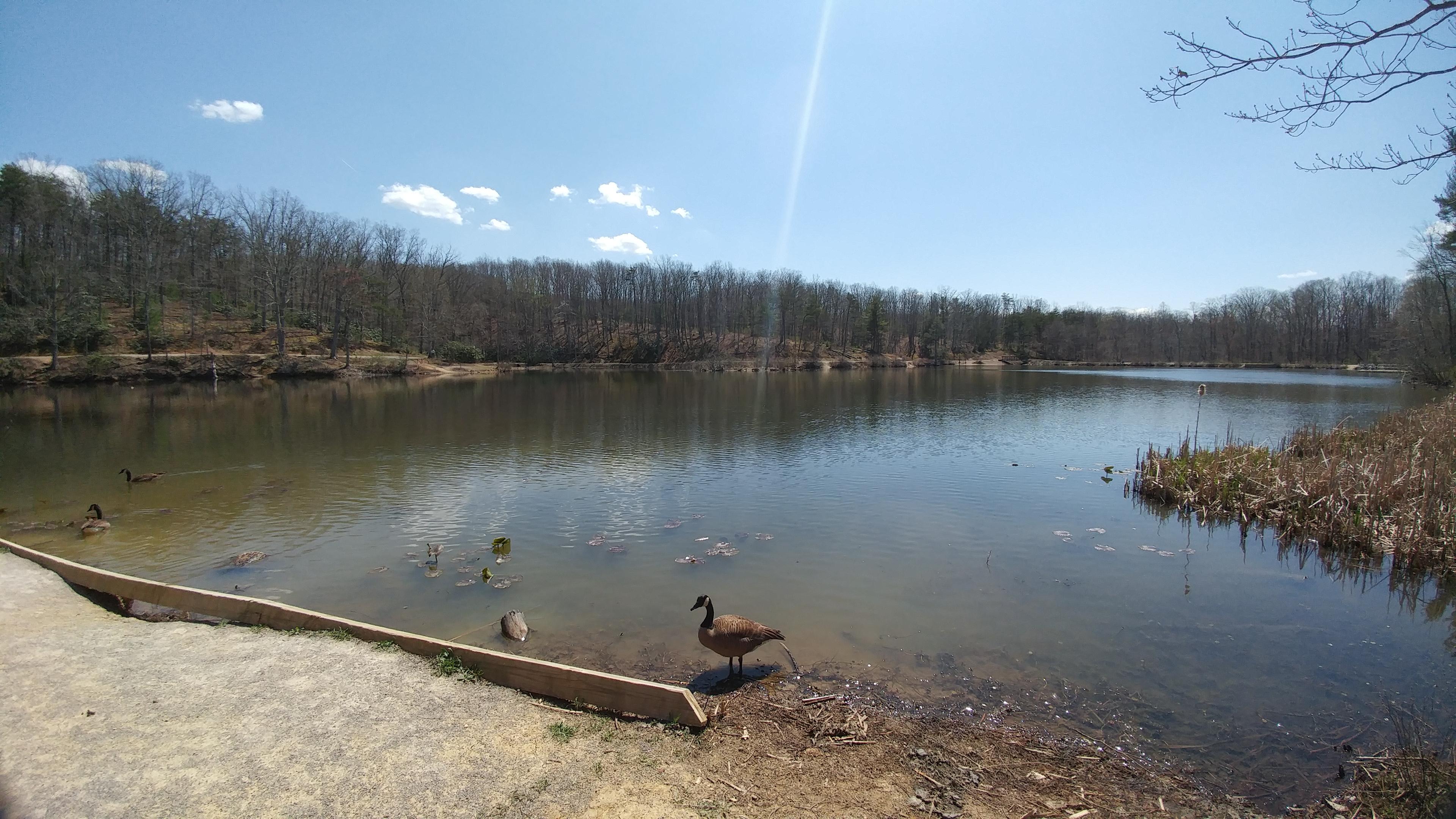 Pandapas Pond in Blacksburg, Virginia. Great hiking location in the