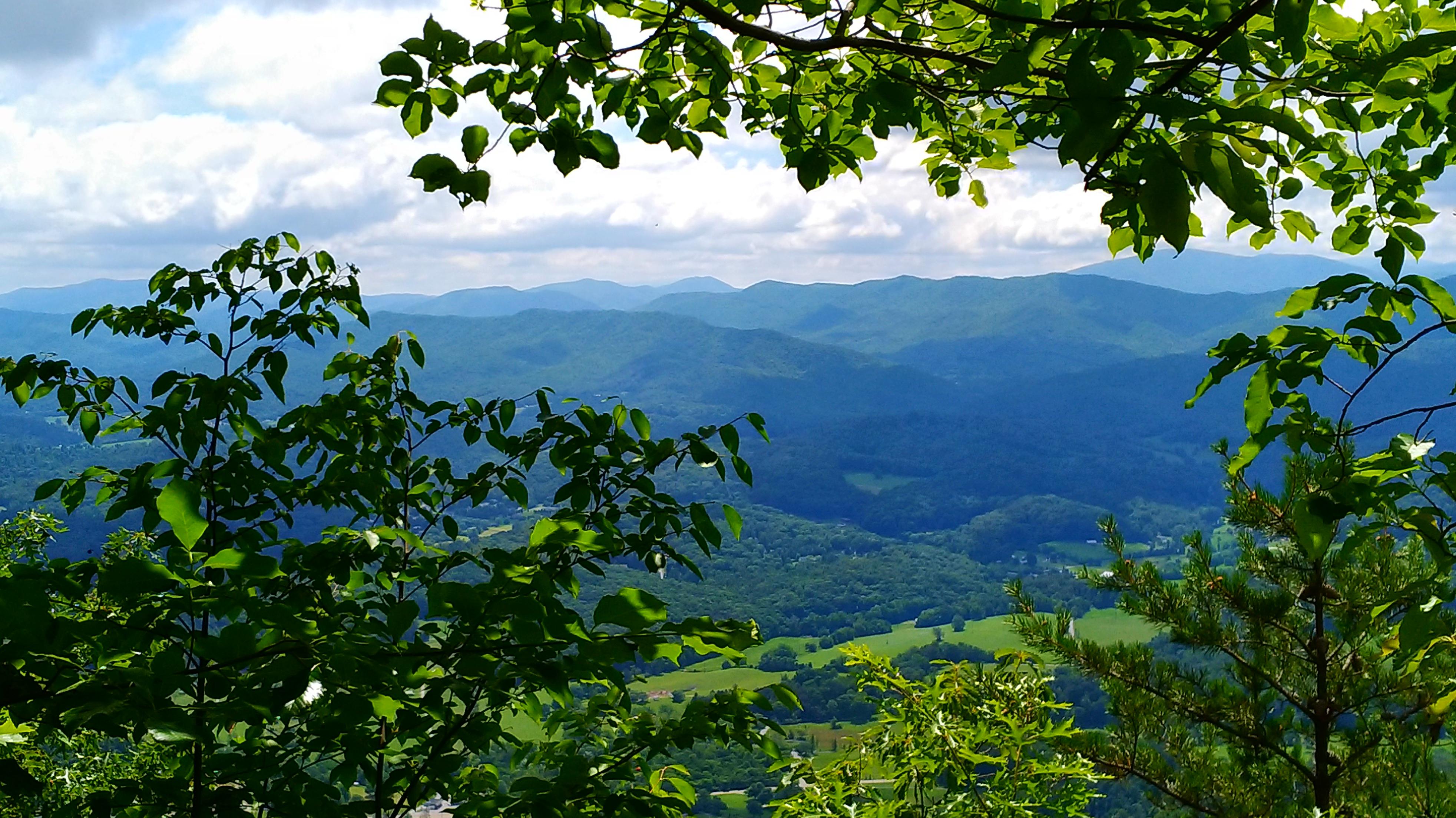 First hike… Not a bad view of my new home in East Tennessee! Buffalo