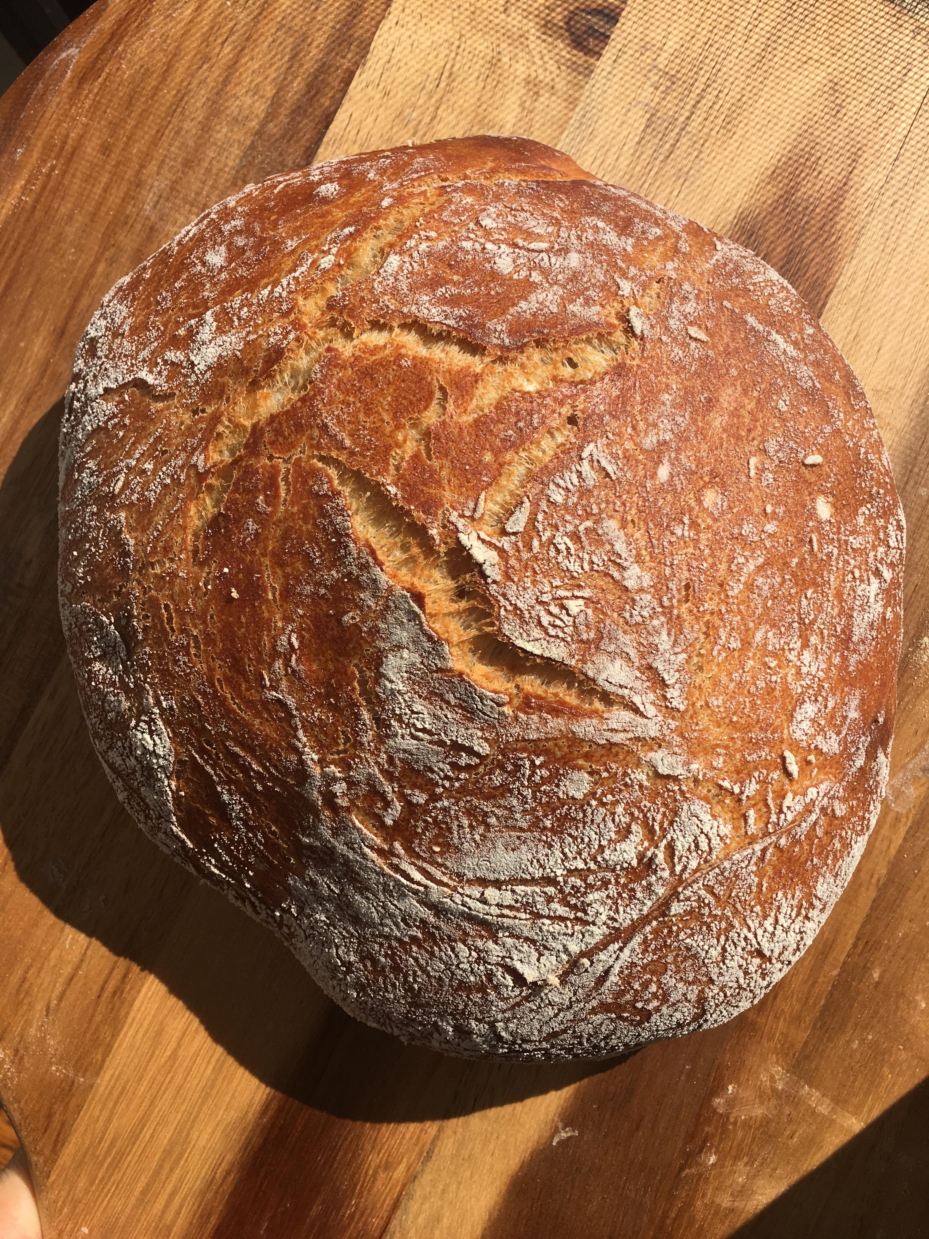 My first home baked bread r/Breadit