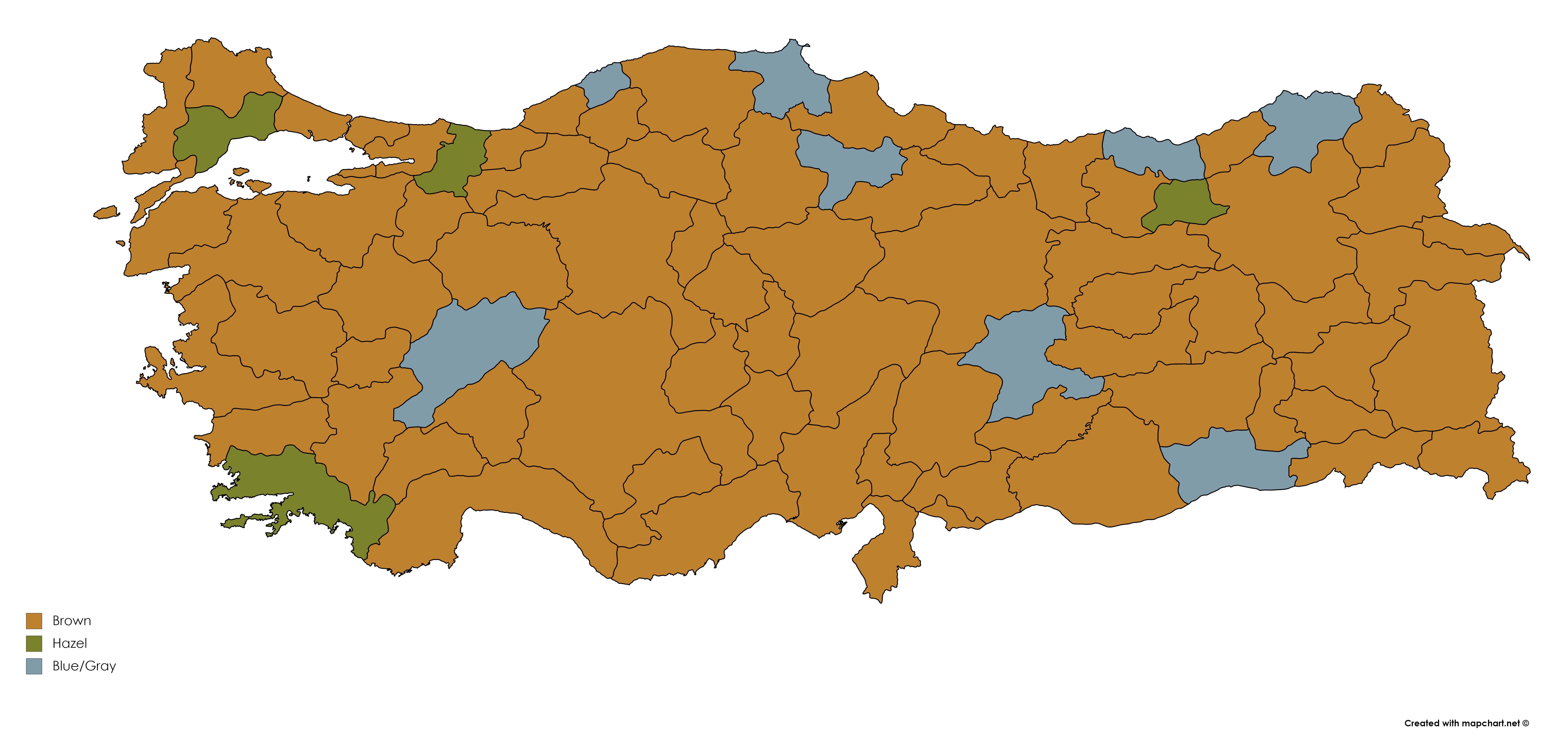 Turkey's governors by eye color [6576x3162] r/MapPorn
