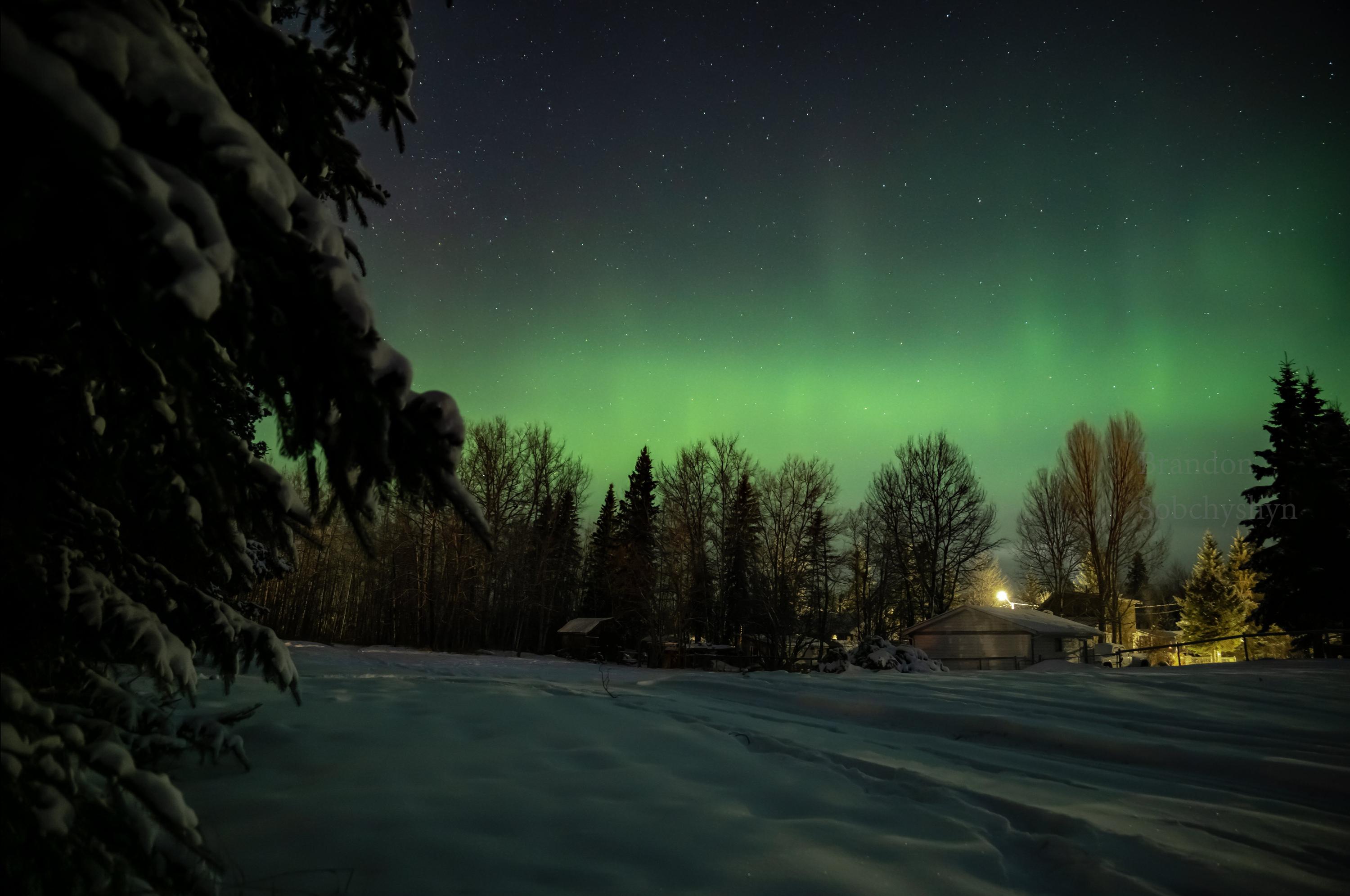 Took a picture of the Northern lights behind my house last night. r