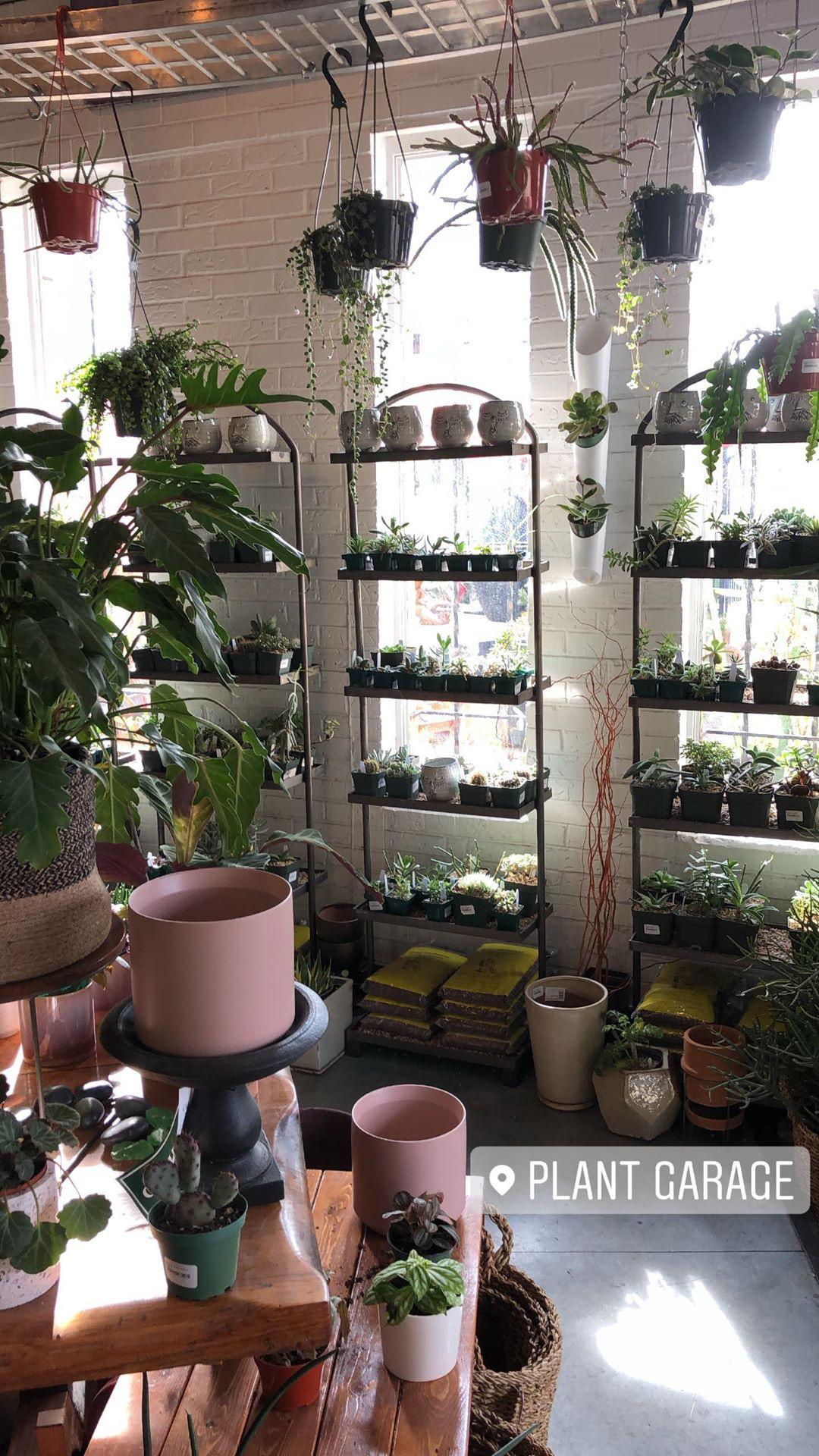 The Plant Garage (Denver, CO) r/CozyPlaces
